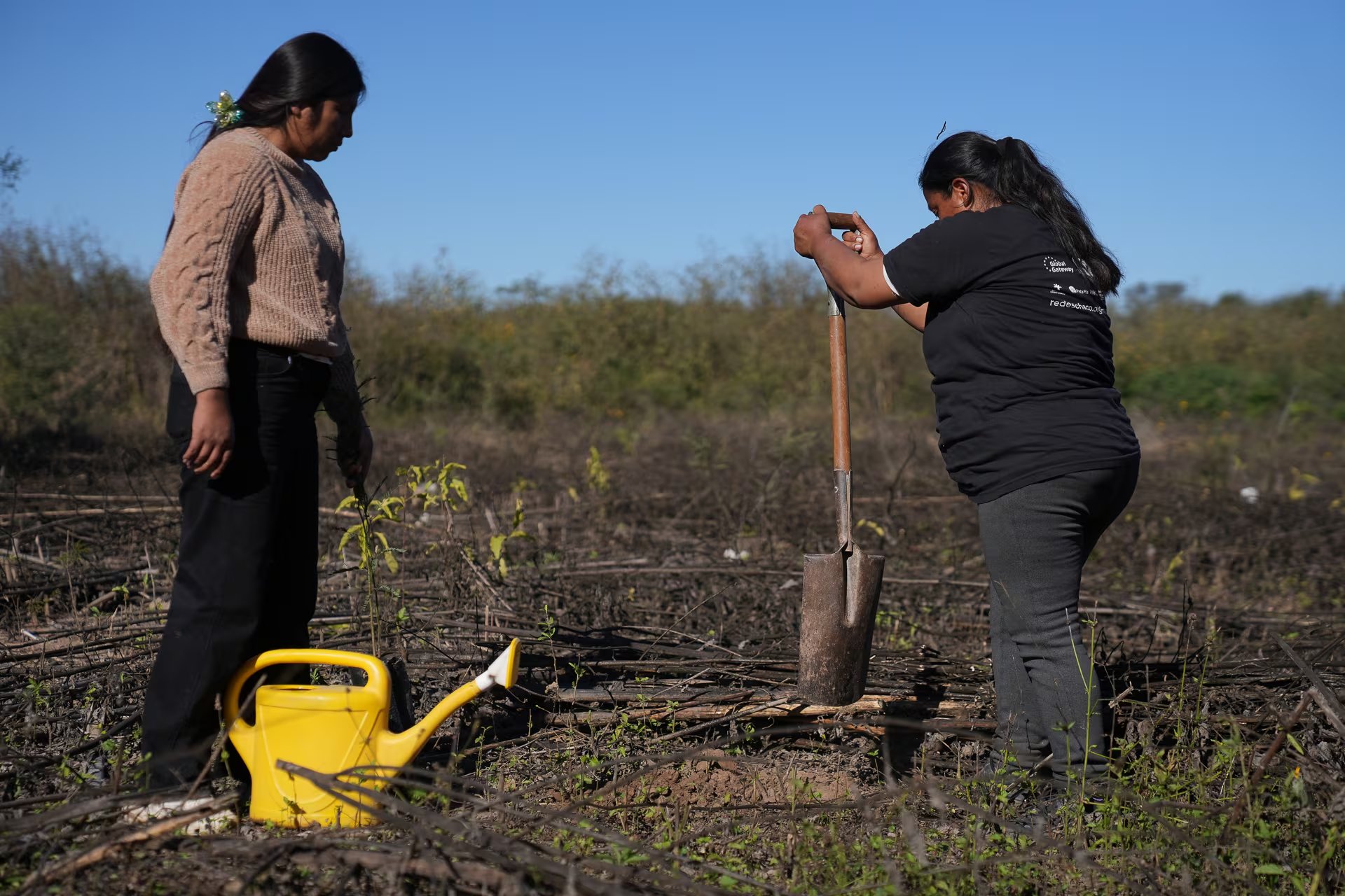 En la comunidad jujeña de Vinalito, las mujeres criollas reforestan un monte arrasado que busca equilibrio. Algarrobos para obtener mejores cultivos y, que más tarde, se convertirán en harina de algarroba. Mara una de las mujeres del proyecto con Impacto Verde 