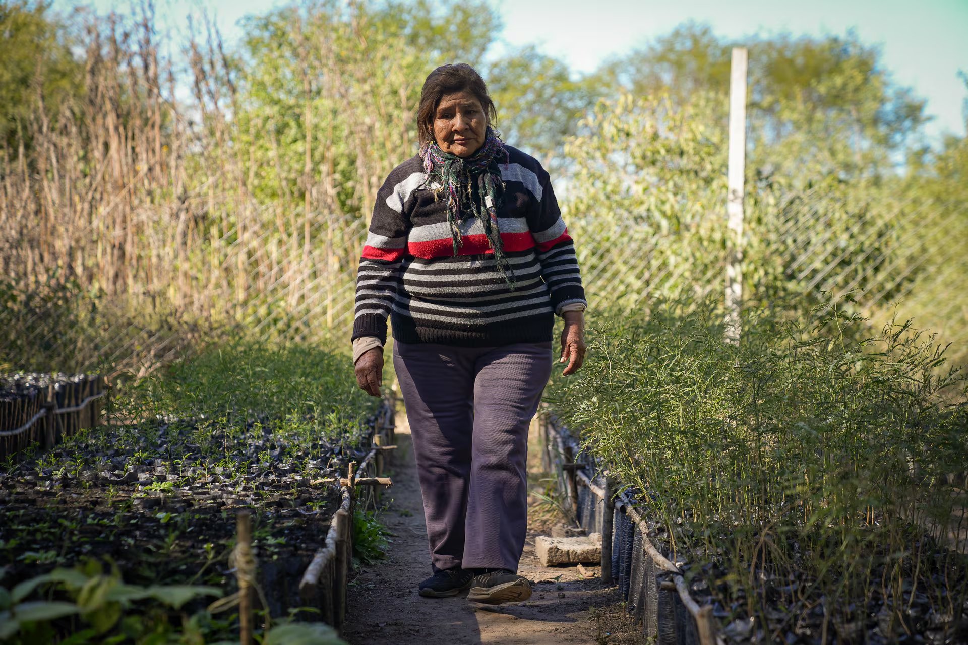 Gregoria recuerda un monte más frondoso y fértil cuando 20 años atrás recién llegaba a Vinalito. Hoy ayuda a reforestarlo. 