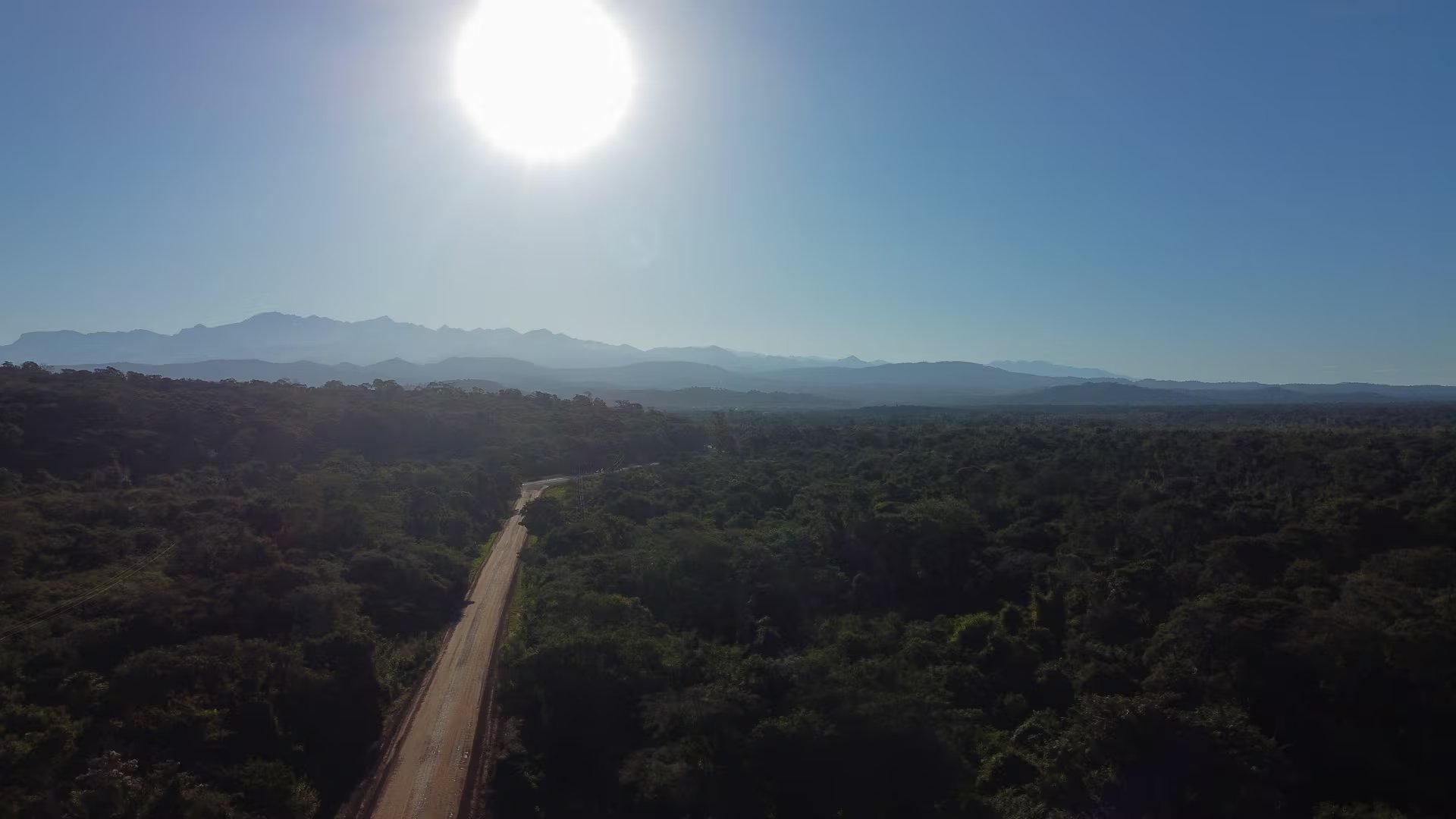 El dron de Infobae hacia Vinalito, en la yunga jujeña, que se desafía con planes de reforestación de las propias comunidades criollas rurales e indígenas. Ellos buscan soluciones climáticas basadas en la naturaleza