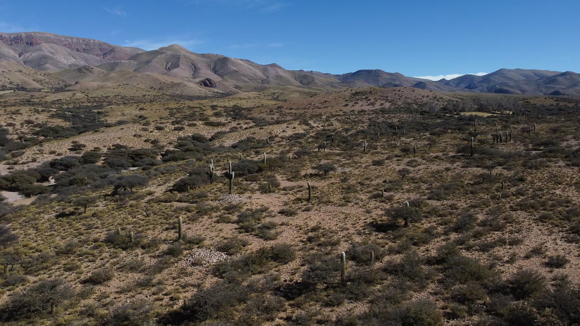 La puna salteña en altura, inmensa, hermosa y con opciones para enfrentar el impacto del cambio climático de la comunidad kolla : variabilidad del clima y crisis del agua