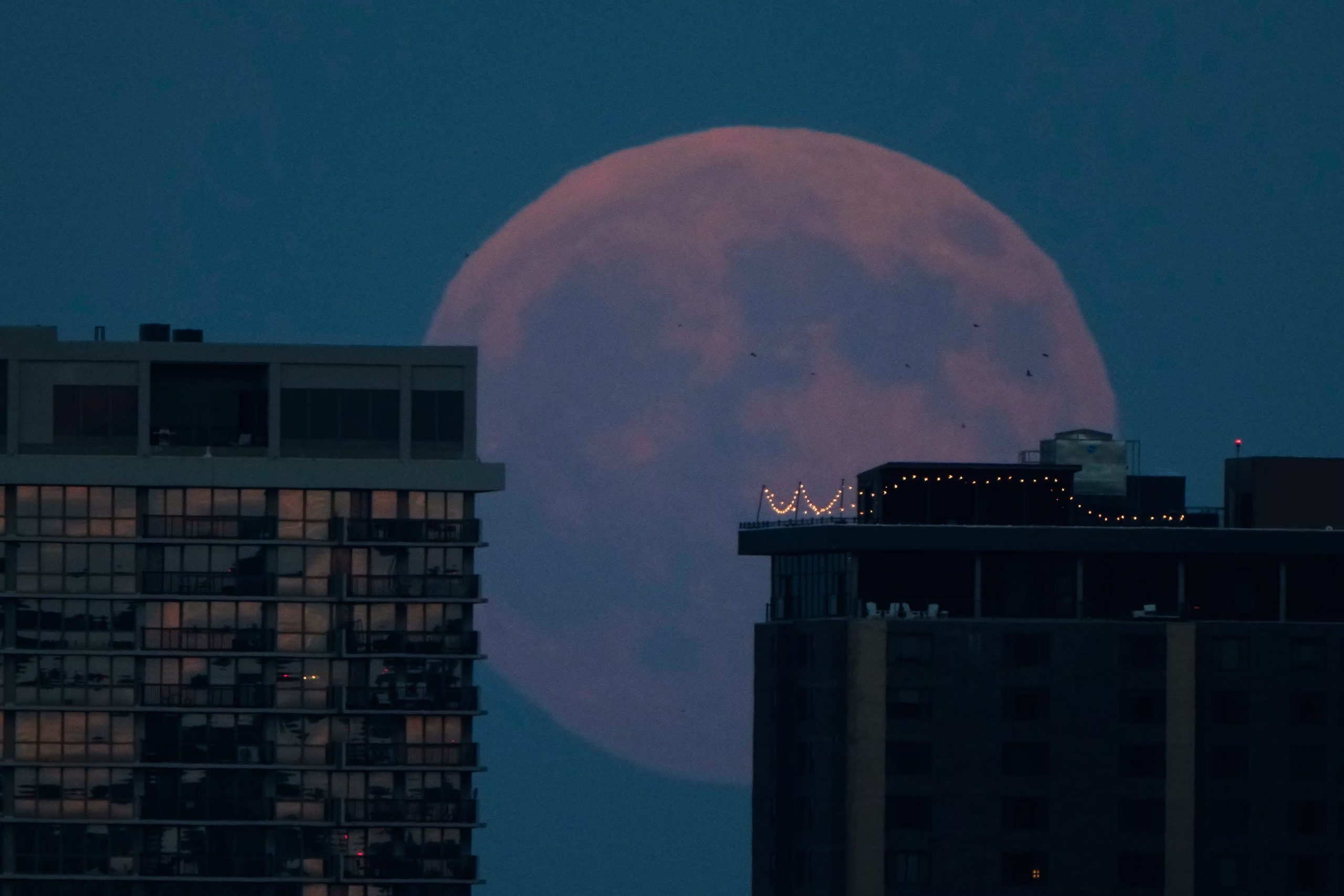 La luna llena sale tras los edificios de apartamentos del centro de Kansas City, Misuri, antes de un eclipse lunar el jueves 27 de agosto de 2026 (AP/Charlie Riedel)