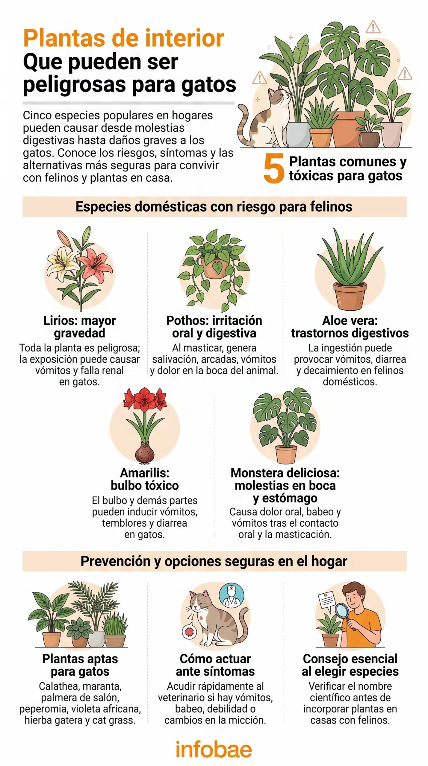 Los gatos exploran hojas y flores con la boca y aumentan el riesgo dentro del hogar. (Imagen Ilustrativa Infobae)