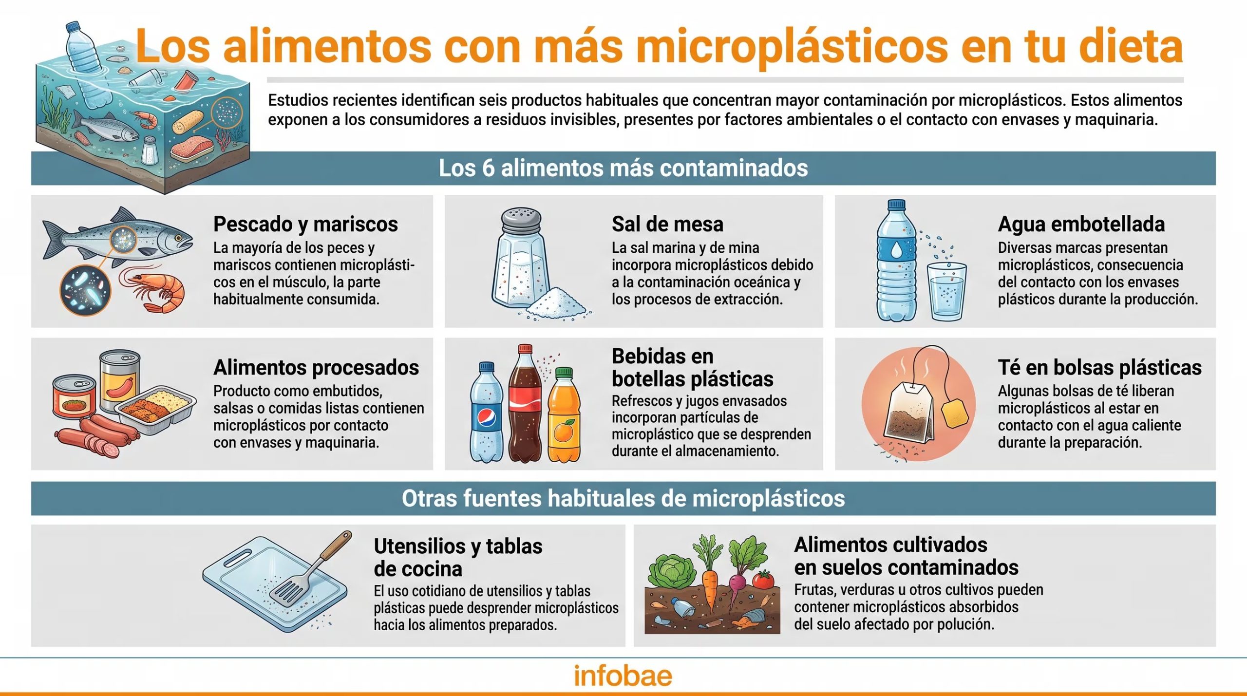 Una infografía detalla los seis alimentos y otras fuentes comunes que concentran microplásticos, señalando su presencia por factores ambientales o contacto con envases y maquinaria. (Imagen Ilustrativa Infobae)