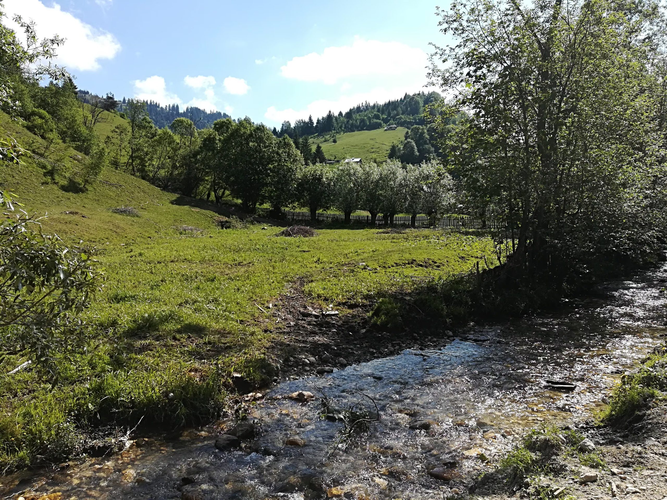 Paisaje de montaña en el condado de Dâmbovița, dentro de la región de Sud-Muntenia, en Rumanía. (Wikimedia Commons)