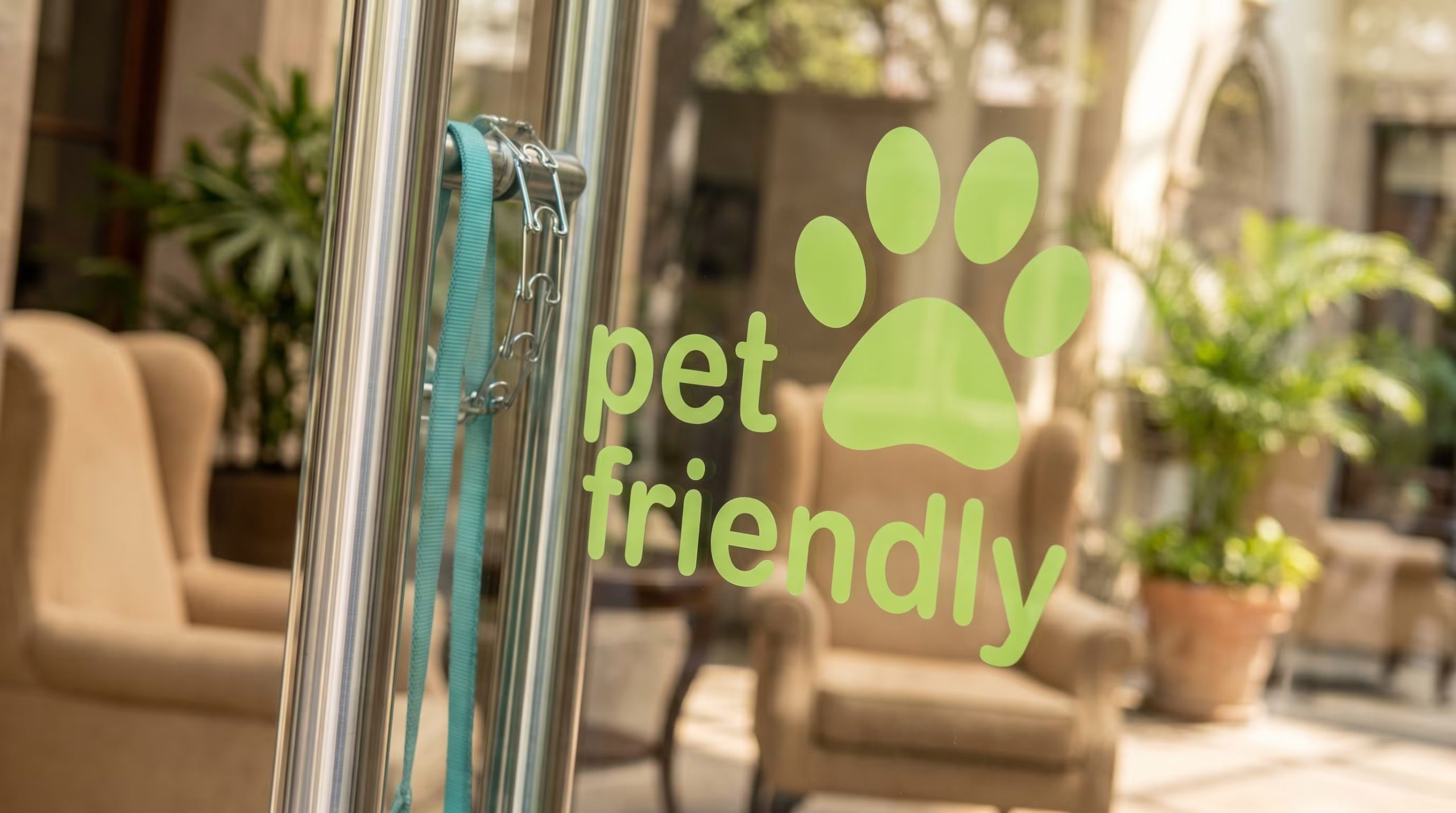 En los últimos años han crecido la demanda de espacios pet-friendly. -Crédito Imagen Ilustrativa Infobae