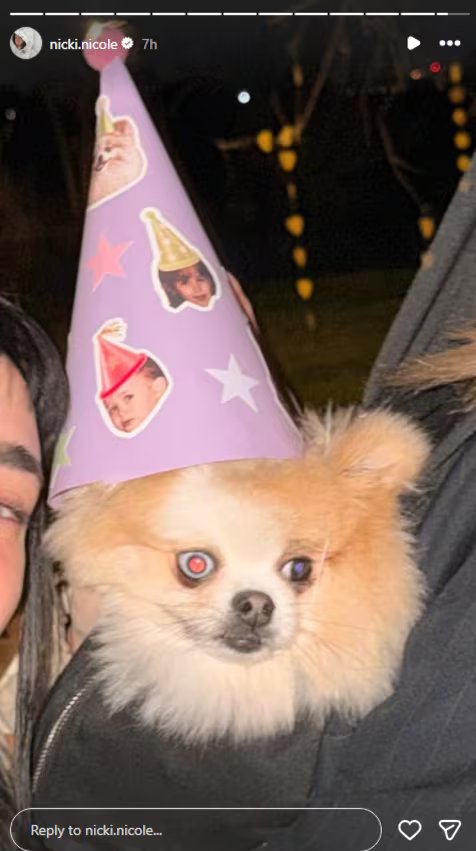 Gokú formó parte de la celebración en la decoración y con su presencia física en el evento 