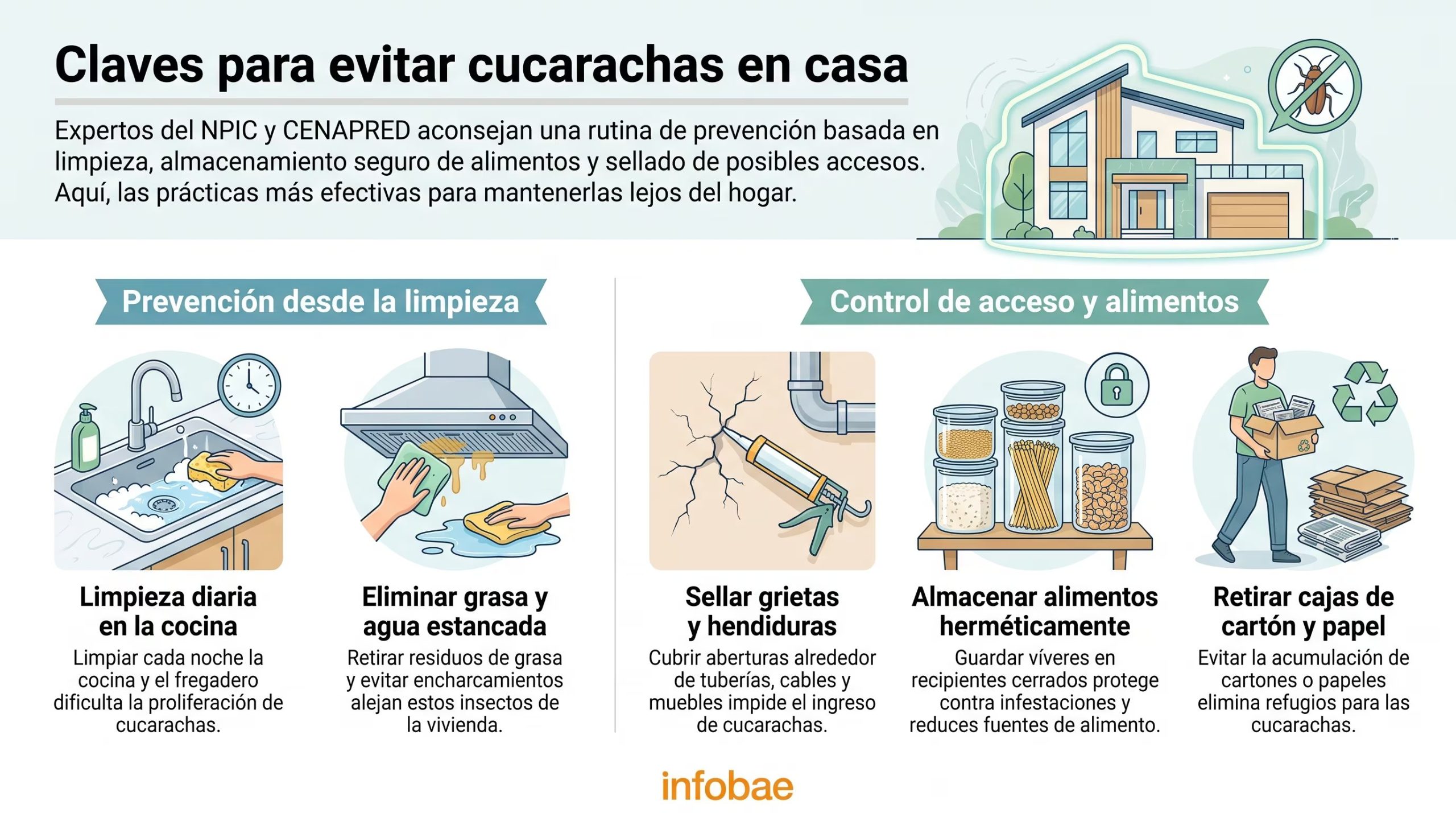 Expertos del NPIC y CENAPRED señalan prácticas clave para prevenir la plaga de cucarachas en el hogar, enfocadas en la limpieza, el almacenamiento de alimentos y el sellado de grietas. (Imagen Ilustrativa Infobae)