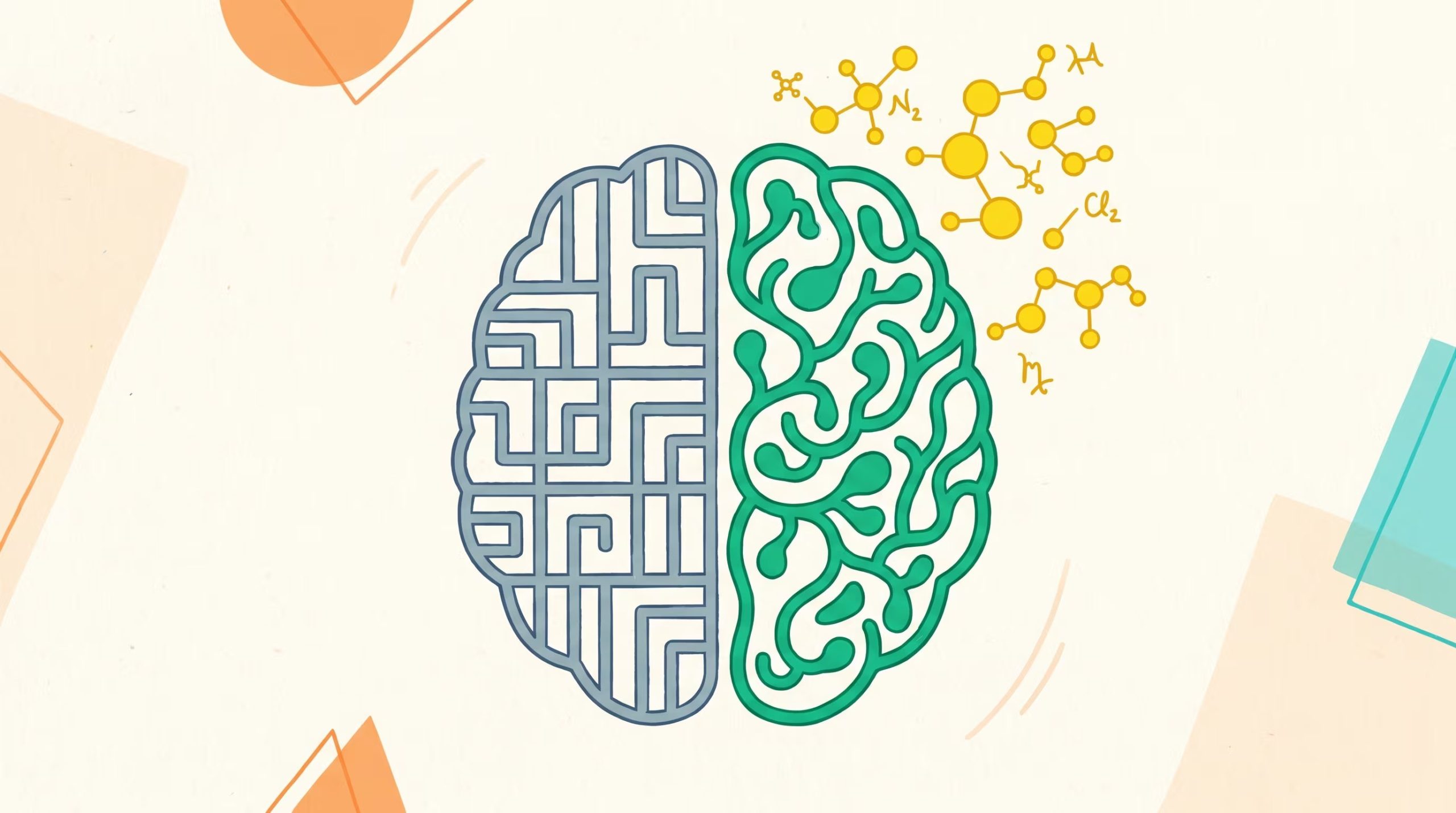 El hallazgo sobre la corteza prefrontal matiza la idea de que esa región cerebral siempre favorece la flexibilidad cognitiva (Imagen Ilustrativa Infobae)