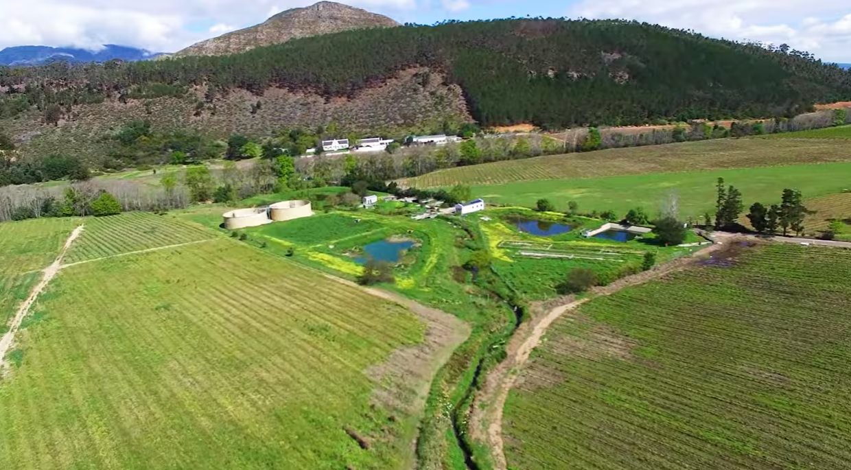 El sistema trata 36.000 litros diarios y elimina cerca del 99% de las toxinas antes de devolver el agua al río (Captura de video)
