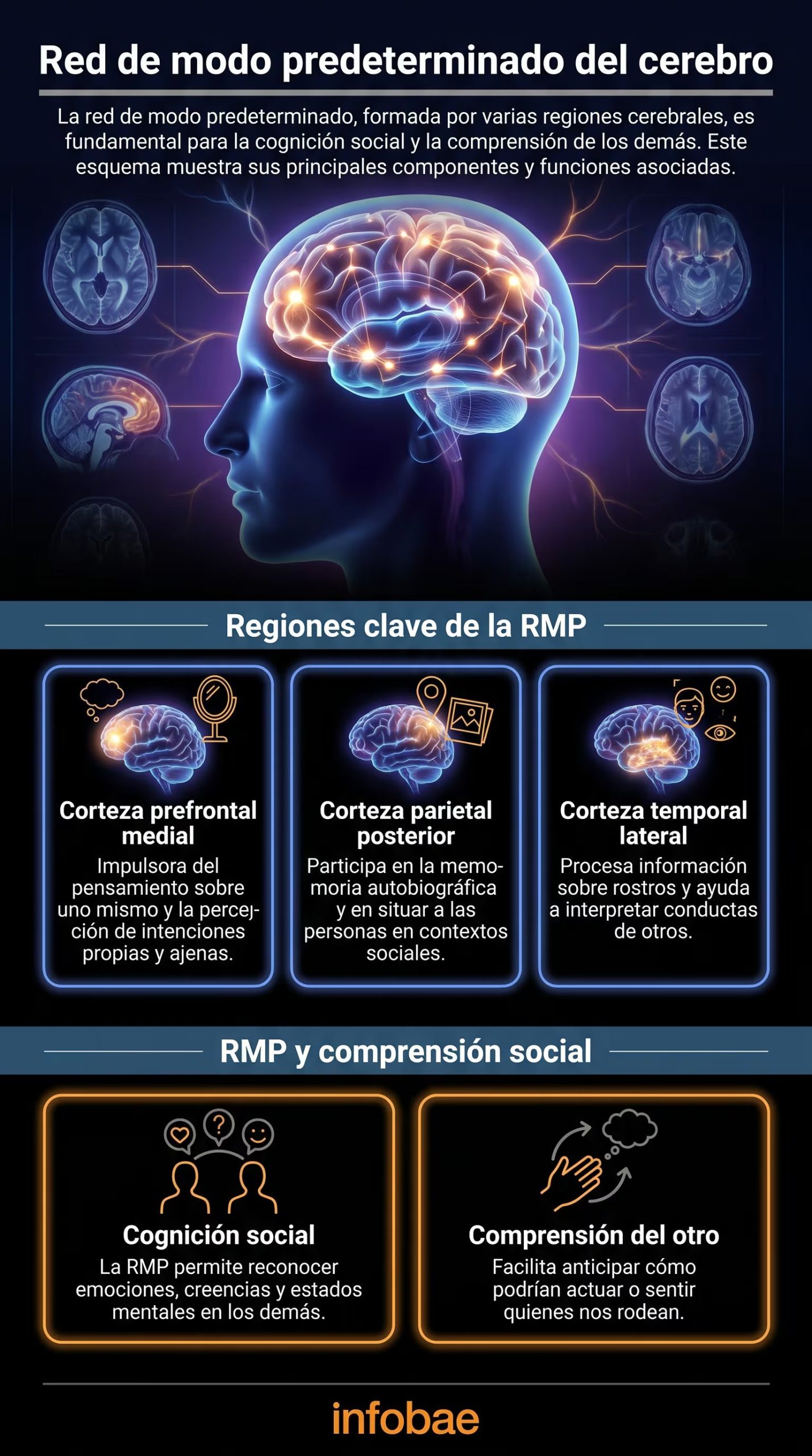 Las investigaciones muestran que la red de modo predeterminado, vinculada con la cognición social y la interpretación de pensamientos ajenos (Imagen Ilustrativa Infobae)