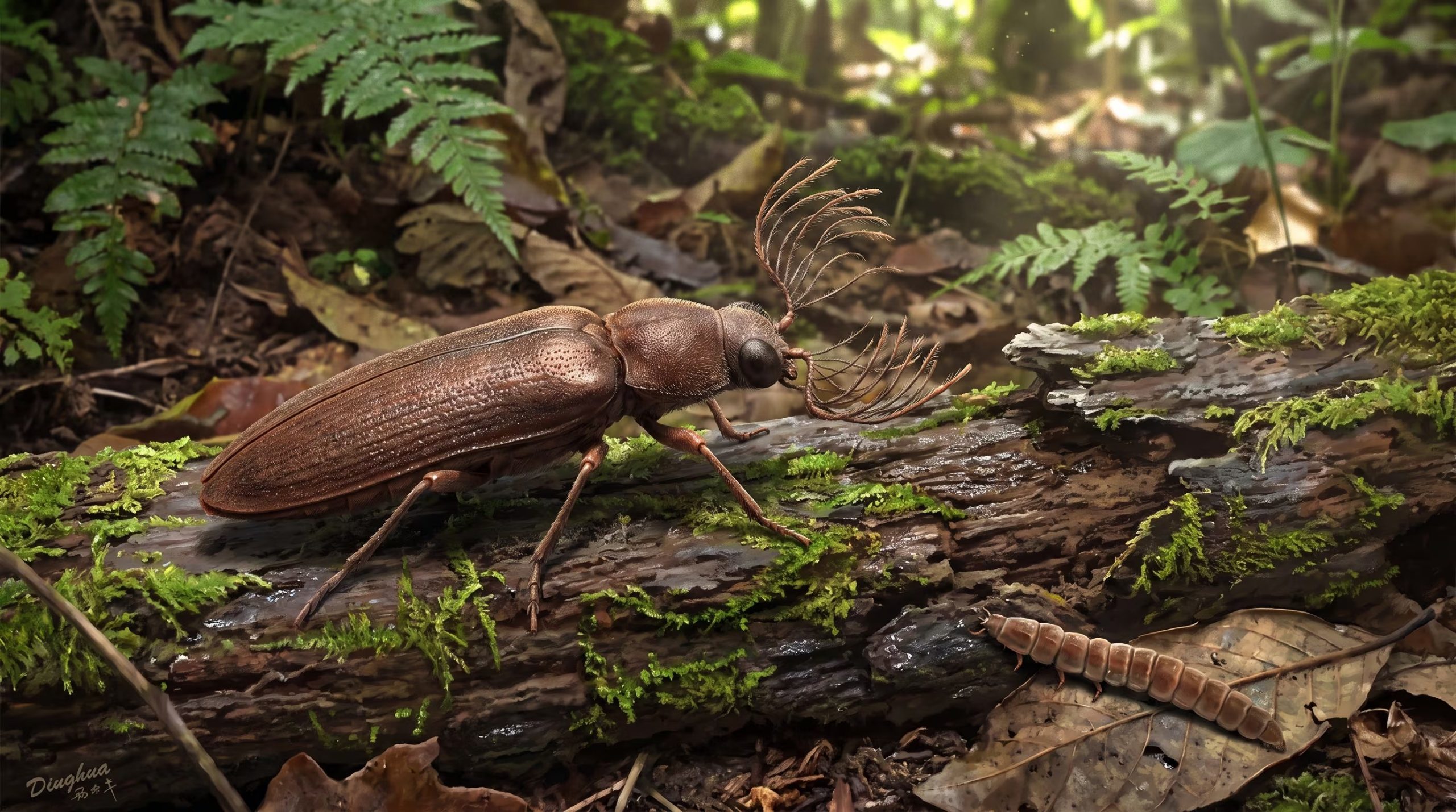 Icaroramus perisi fue considerado próximo a Cretophengodes y quedó incluido en la misma familia extinta por la combinación de sus características (Imagen Ilustrativa Infobae)