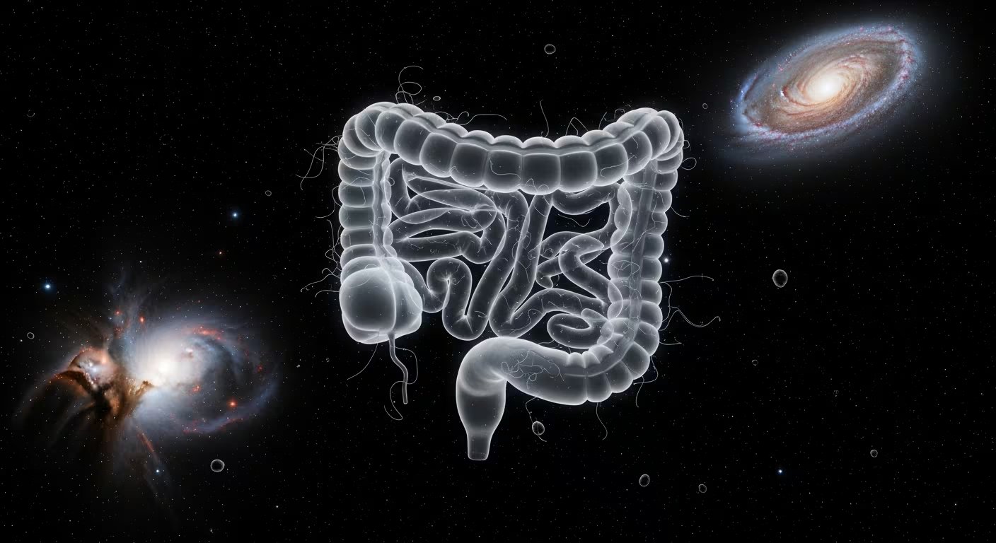 Los cambios metabólicos detectados se asociaron con un tránsito intestinal más lento, lo que puede influir en la absorción de nutrientes y en la salud general de los astronautas (Imagen Ilustrativa Infobae)