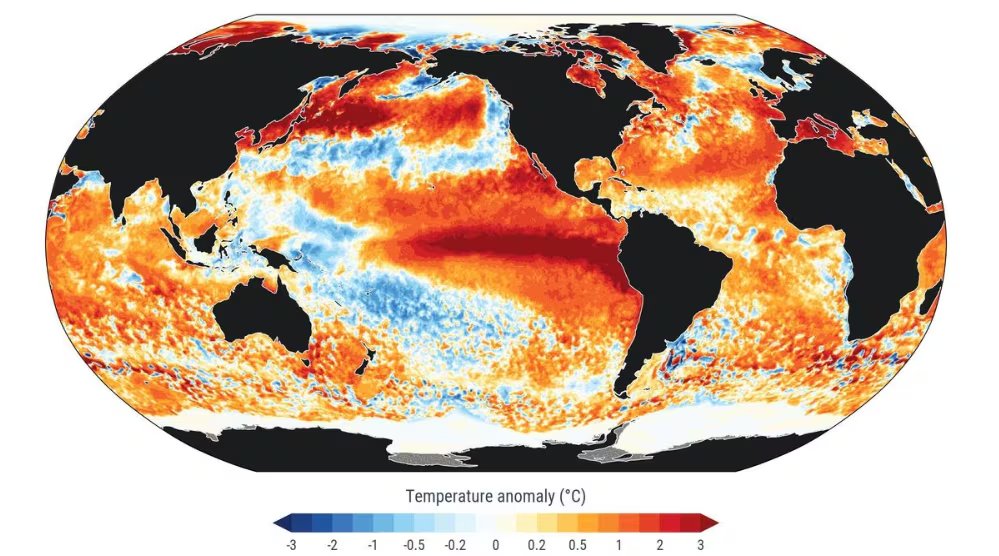 La temperatura media global de la superficie oceánica registró un récord de 21,1 °C el 22 de agosto según el Servicio de Cambio Climático de Copernicus
