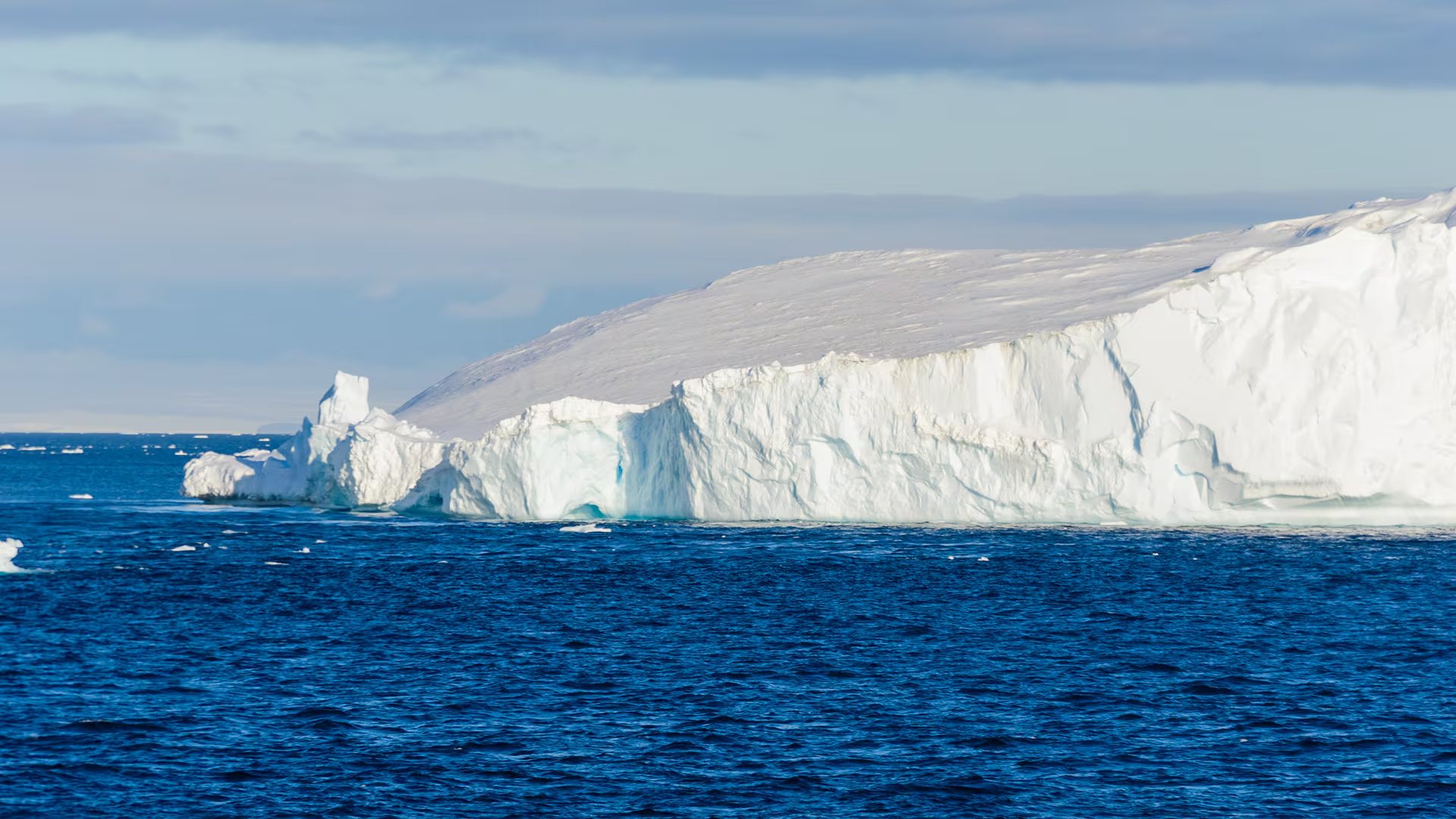 El calentamiento reduce la eficiencia del océano para absorber dióxido de carbono debilitando un amortiguador natural del cambio climático
 - Freepik