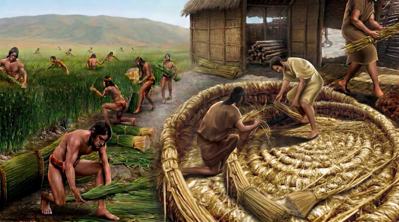 Habitantes de la Civilización Caral recolectan fibras vegetales y elaboran shicras, bolsas de junco y totora que forman parte de su sistema constructivo sismorresistente ancestral en Perú. (Foto: Zona Arqueológica Caral)