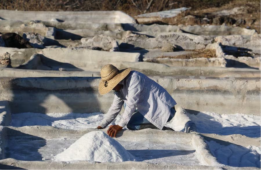 Las grandes salinas del mundo pertenecen en su mayoría a dos compañías: Morton y Cargill. (UAM)
