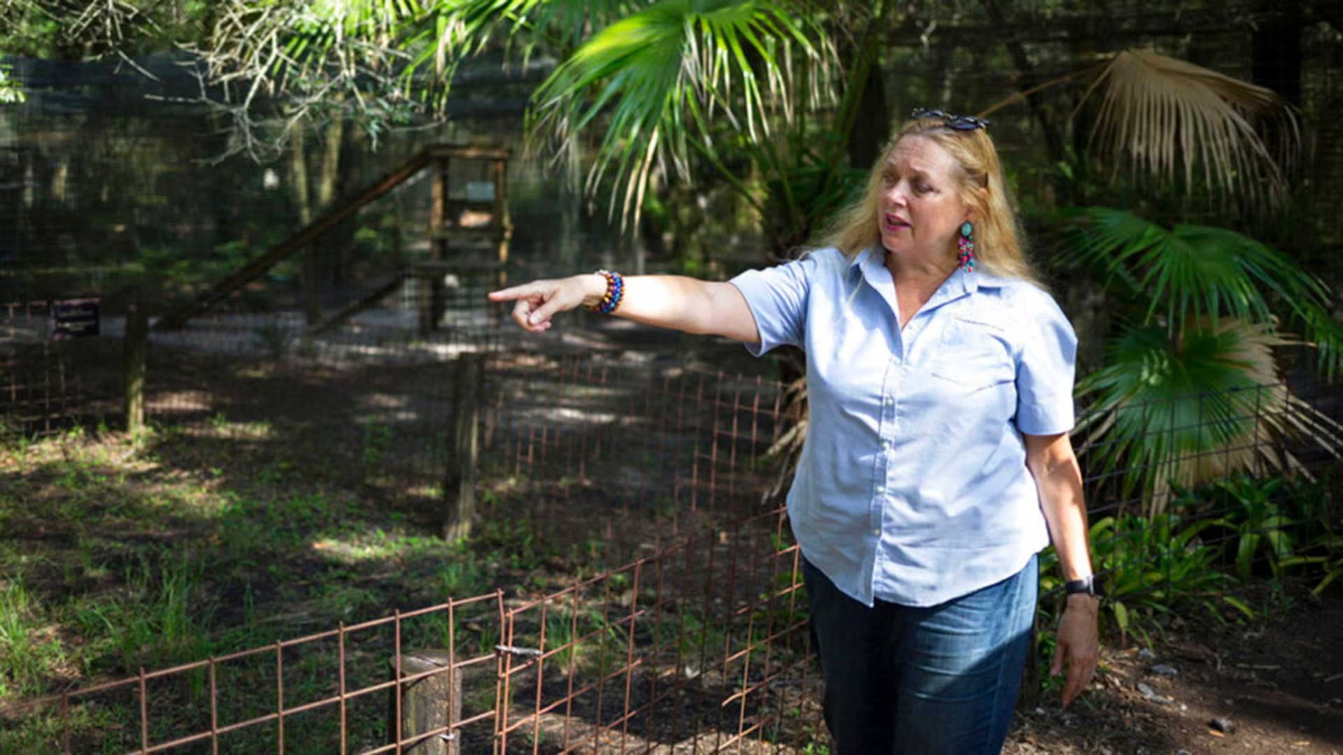 ARCHIVO – En esta foto de archivo del 20 de julio de 2017, Carole Baskin, fundadora de Big Cat Rescue, camina por la propiedad cerca de Tampa, Florida (Loren Elliott/Tampa Bay Times via AP, File)