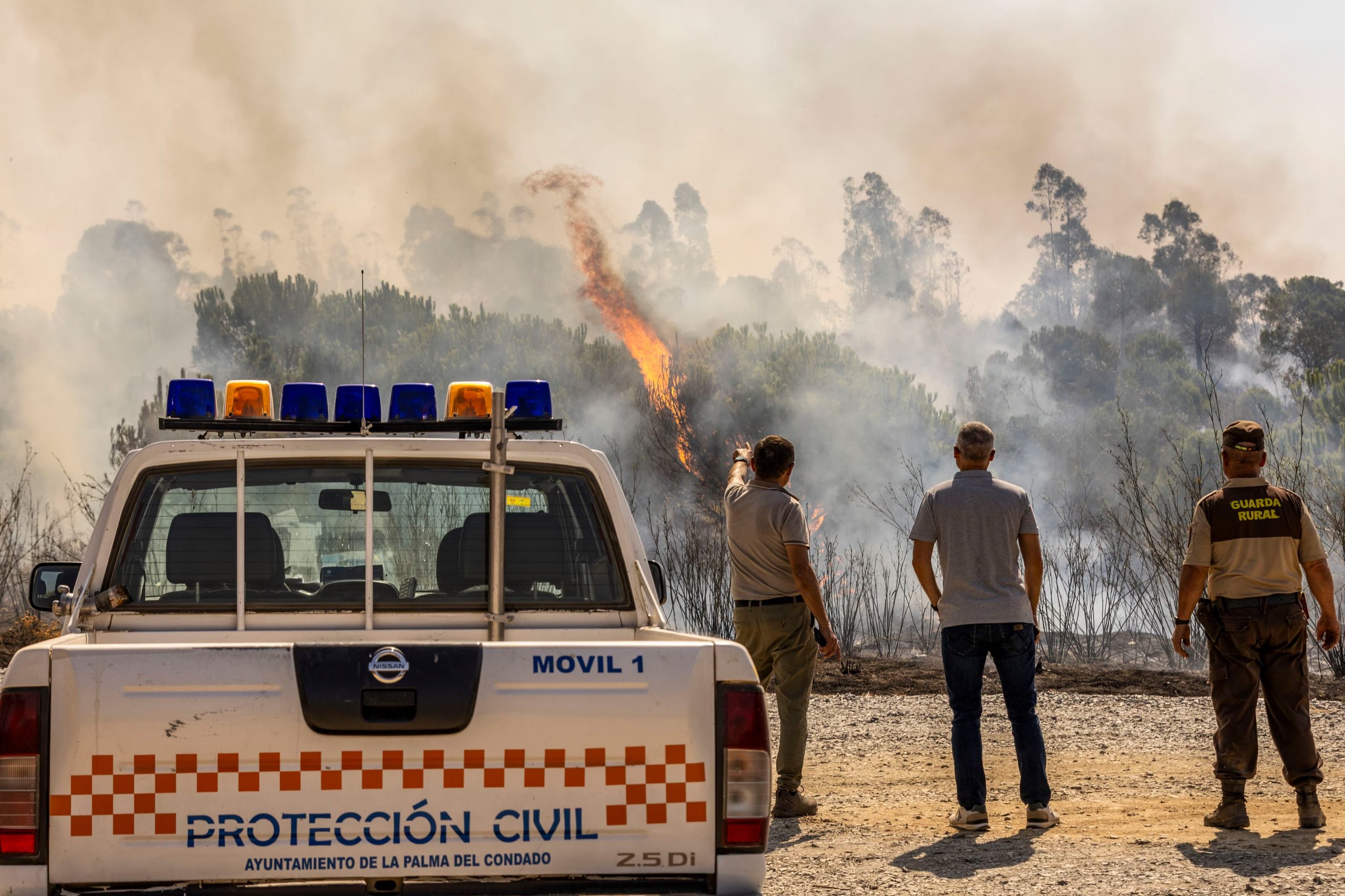 Incendio junto al embalse del Corumbel Bajo en La Palma del Condado, Huelva, a 12 de agosto de 2026. (EFE/Alberto Díaz)