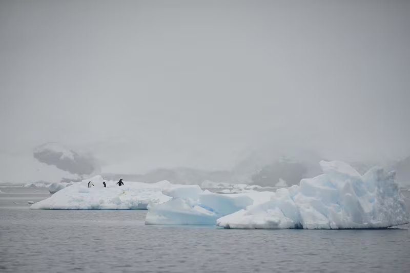 El frío extremo en la Antártida no contradice el calentamiento global, según explicó Gabriele Carugati al distinguir entre clima y fenómenos meteorológicos puntuales (REUTERS)