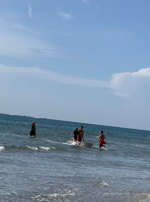 La piloto eligió un sector libre junto a la costa para evitar riesgos mayores durante el descenso (@SCHDETF)