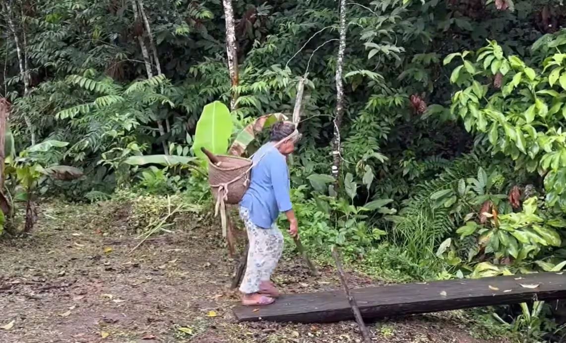 La vida en la selva cerca del río Napo depende del aislamiento de la zona, donde no hay caminos asfaltados y el río conecta a las comunidades (Captura de video @josueyeli/Youtube)