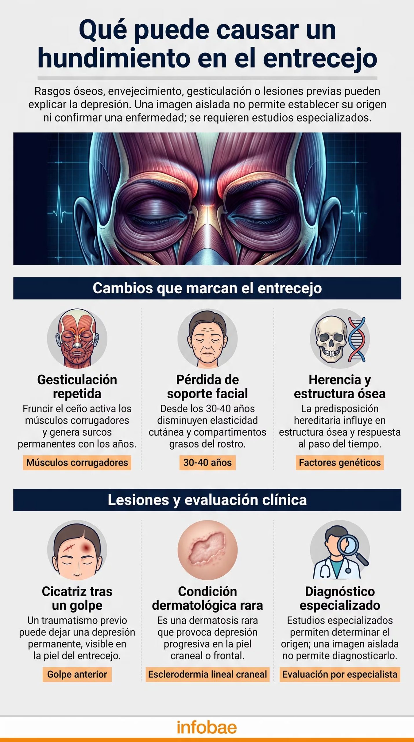 Una infografía de Infobae detalla los factores biológicos y traumatismos que pueden causar un hundimiento en el entrecejo. (Imagen Ilustrativa Infobae)