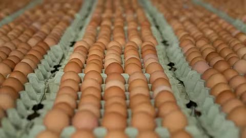 En la Argentina el huevo mantiene un gravamen del 21% de IVA, condición que “afecta su competitividad frente a otras proteínas”, como la carne aviar que tributa 10,5%, aseguran desde CAPIA (Reuters)