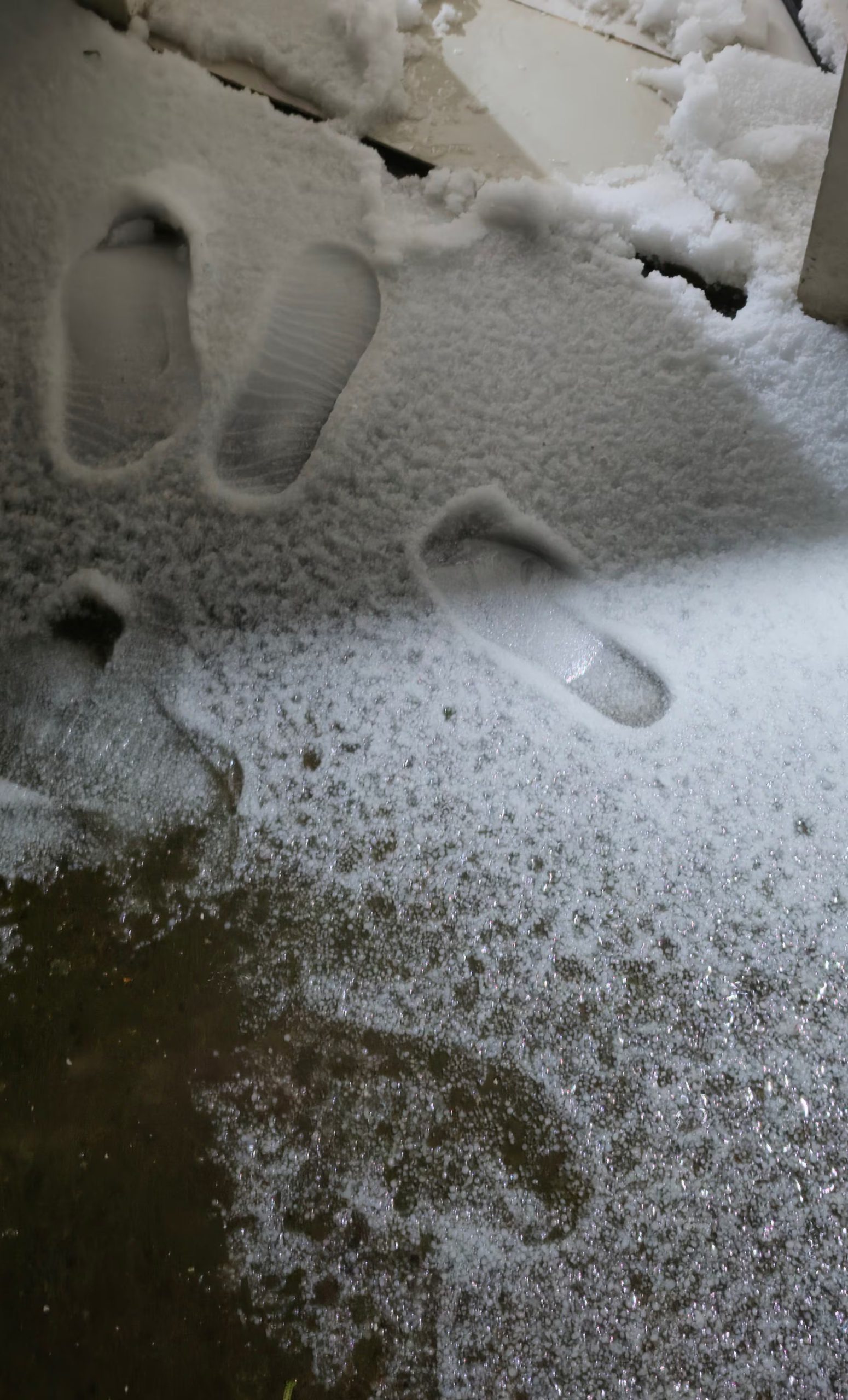 Varias huellas de calzado quedan marcadas sobre una cubierta de nieve en la entrada de una superficie pavimentada.
