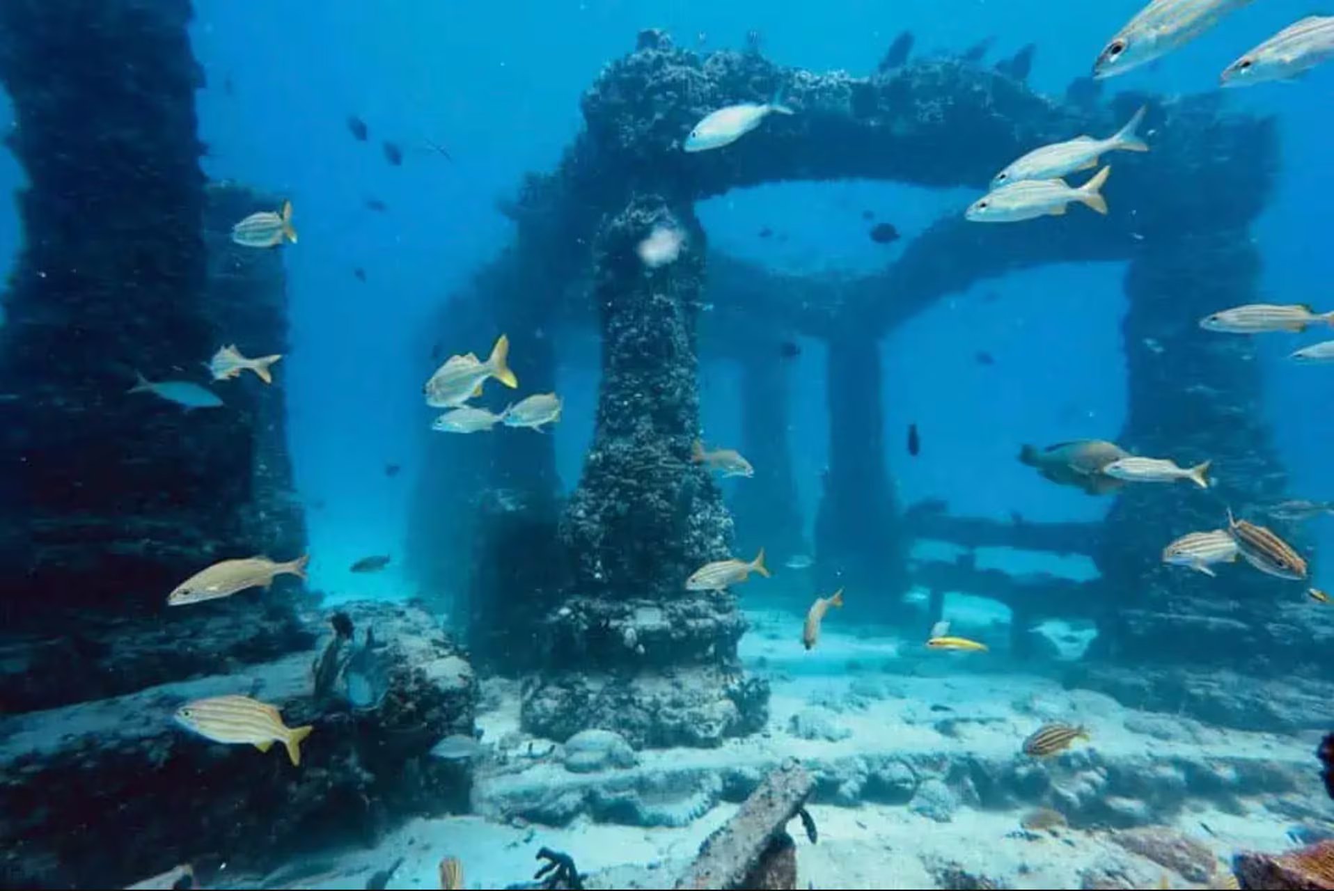 La actriz cubana detalló que el Panteón Neptuno, único cementerio submarino del mundo, albergará las cenizas de su hijo junto a símbolos que representaban su identidad. (Archivo)