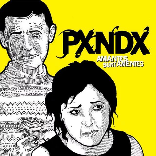 Portada del álbum Amantes Sunt Amentes (PXNDX)