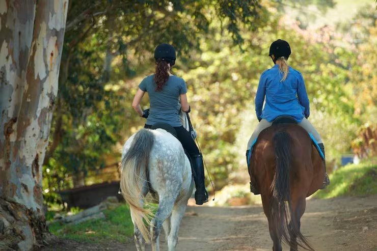 La raza y el sexo influyeron en las respuestas de la encuesta, con más ansiedad en los caballos de sangre caliente, los ponis y los machos castrados (Magnific)