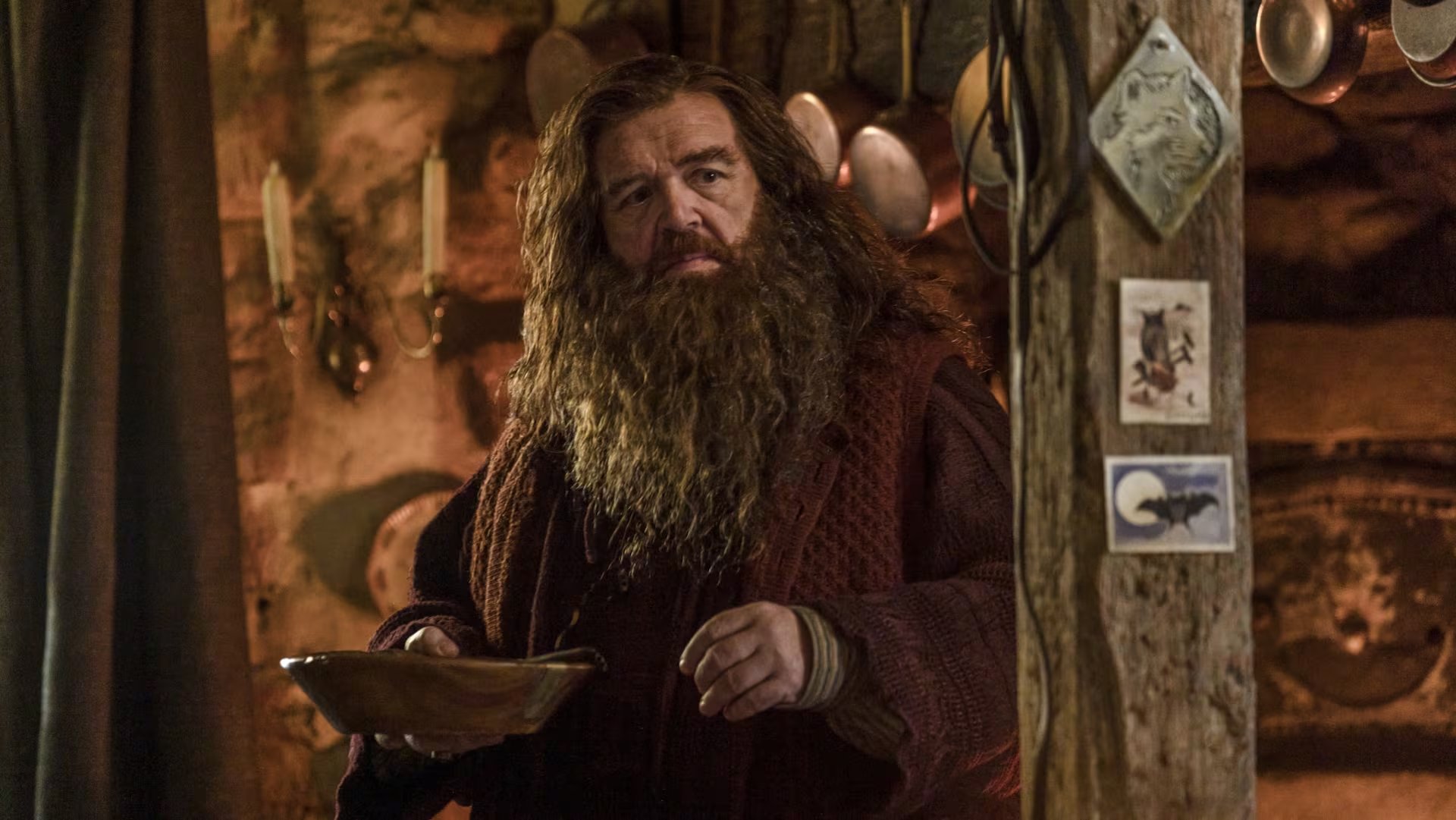 El elenco adulto de la serie de Harry Potter incluye a Nick Frost como Hagrid, Janet McTeer como McGonagall, John Lithgow como Dumbledore y Paapa Essiedu como Snape (HBO Max)