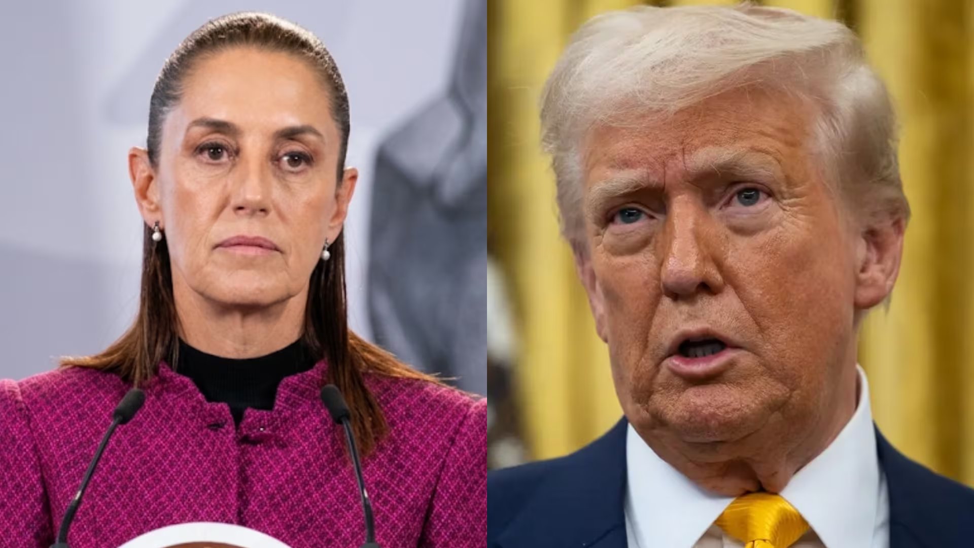 Trump quiere ver más acción, aseguró la zarina antidrogas, aunque reconoció el actuar de Claudia Sheinbaum.