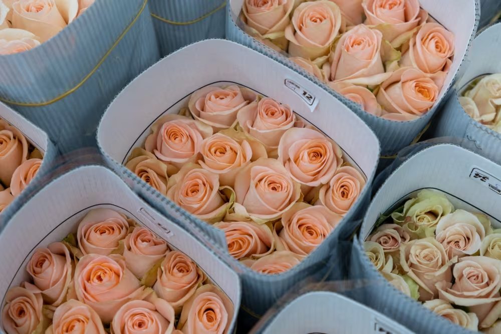 Flores ecuatorianas (Foto: Shutterstock)
