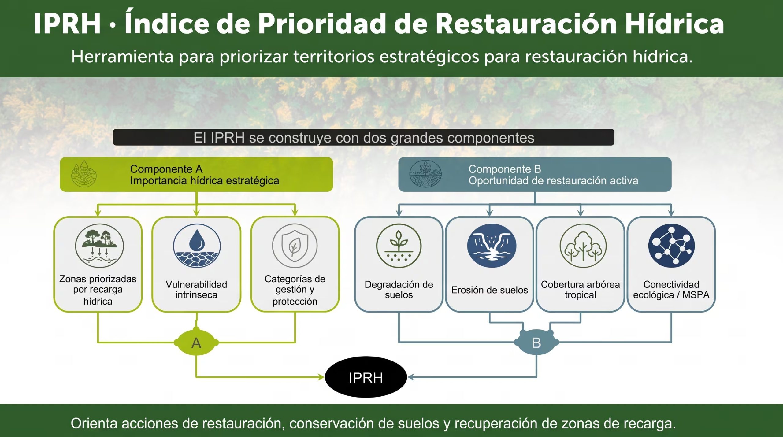 Un diagrama detalla la estructura del Índice de Prioridad de Restauración Hídrica a partir de la importancia hídrica estratégica y la oportunidad de restauración activa. (Imagen Ilustrativa Infobae)