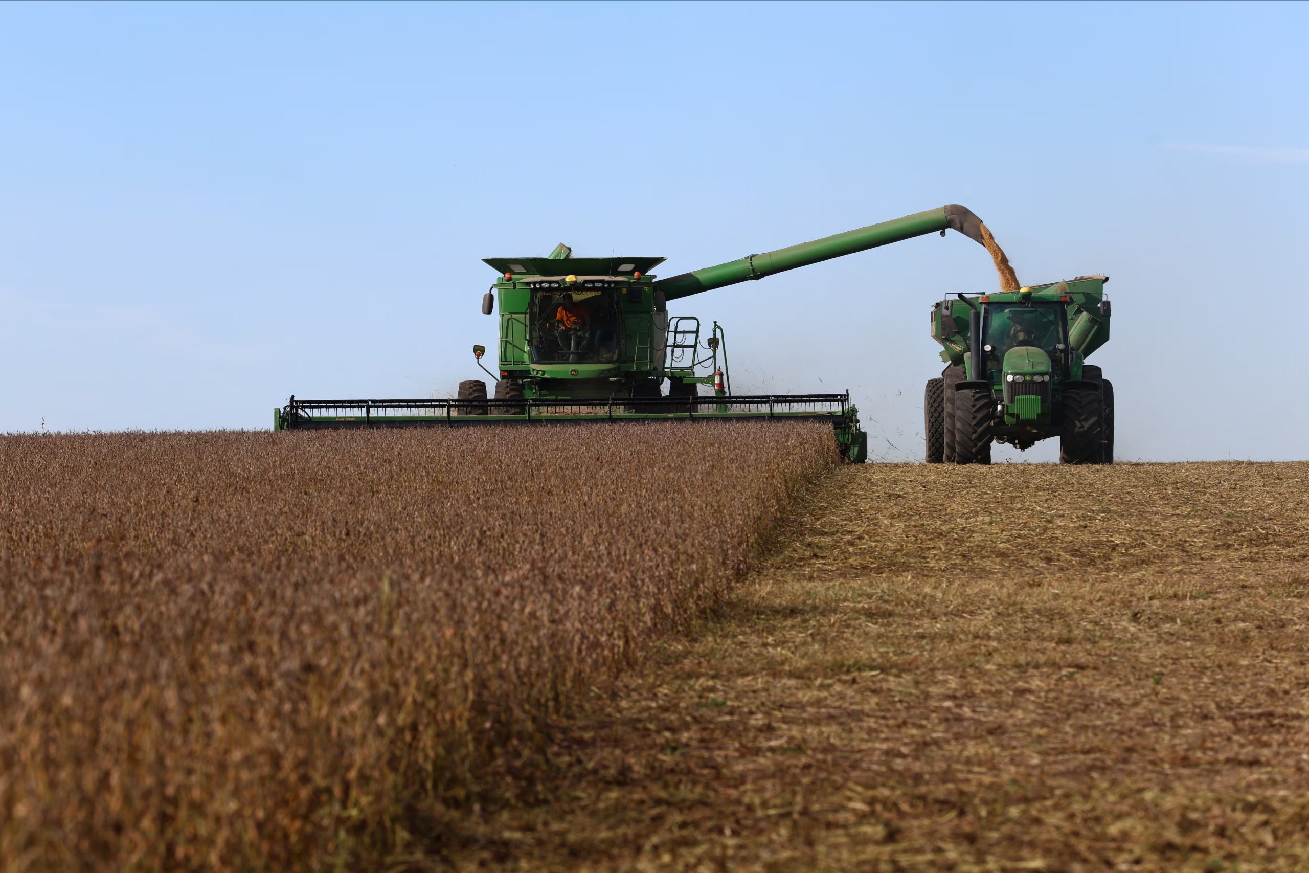 Para el sector agrícola, el efecto Niño podría tener impacto positivo para los rindes 
