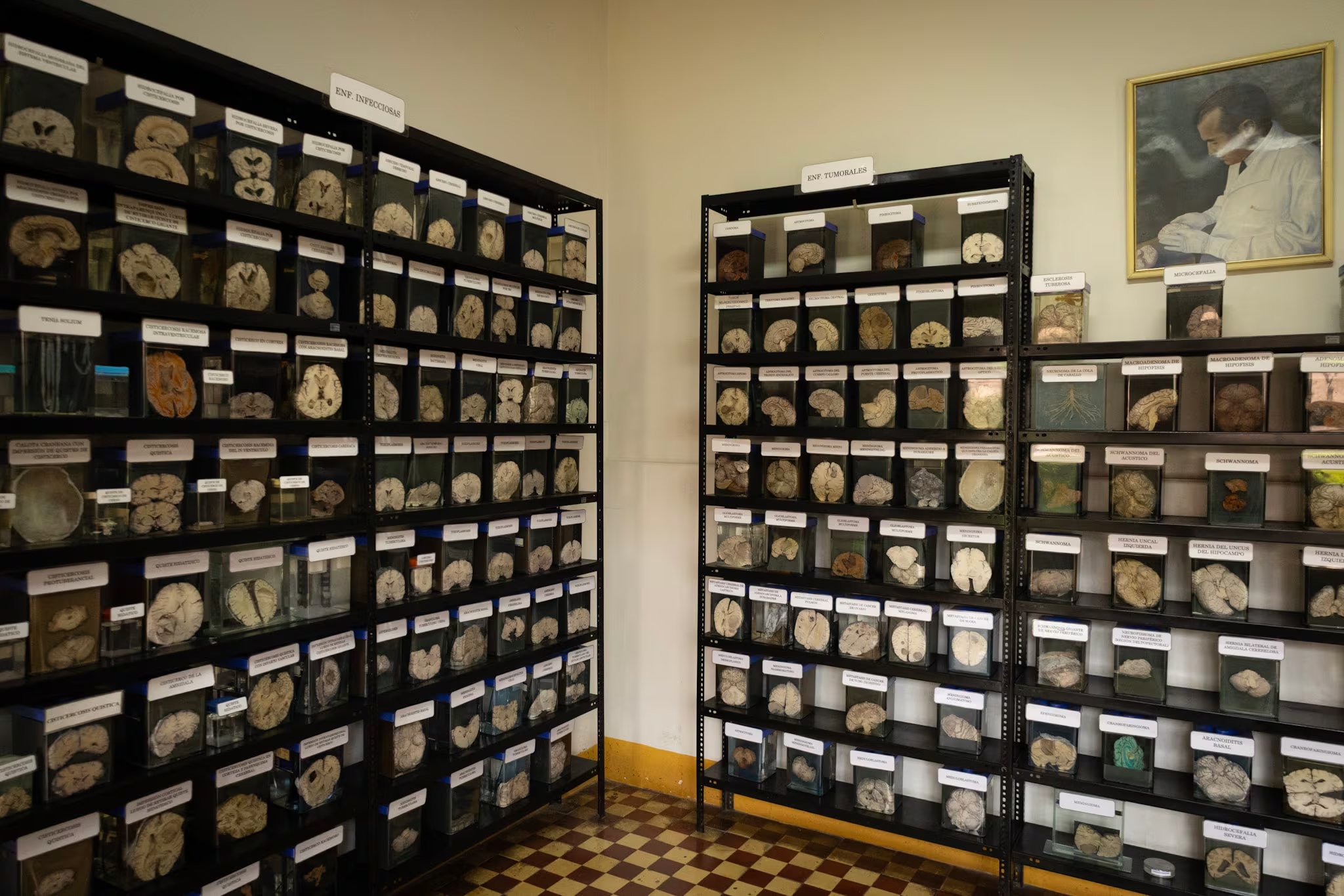 La colección del museo comenzó con cerca de 100 muestras. (Paula Elizalde)