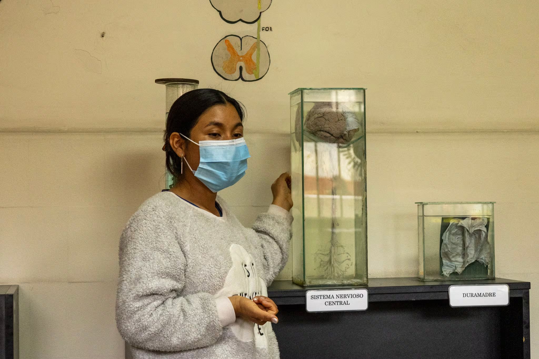 El museo fue creado inicialmente para la formación de médicos residentes. (Paula Elizalde)