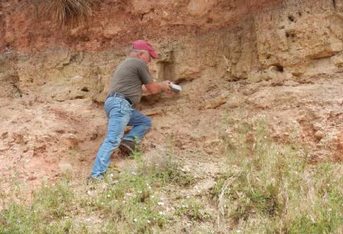 Las dataciones anteriores del Mammoth Site situaban las muertes de los mamuts hace unos 26.000 años, pero se basaban en análisis óseos alterados por aguas subterráneas (Crédito: Gentileza, estudio Redeterminación de la edad mediante datación por luminiscencia en el yacimiento de los mamuts de Black Hills, Dakota del Sur, EE. UU, publicado en Quaternary Research)