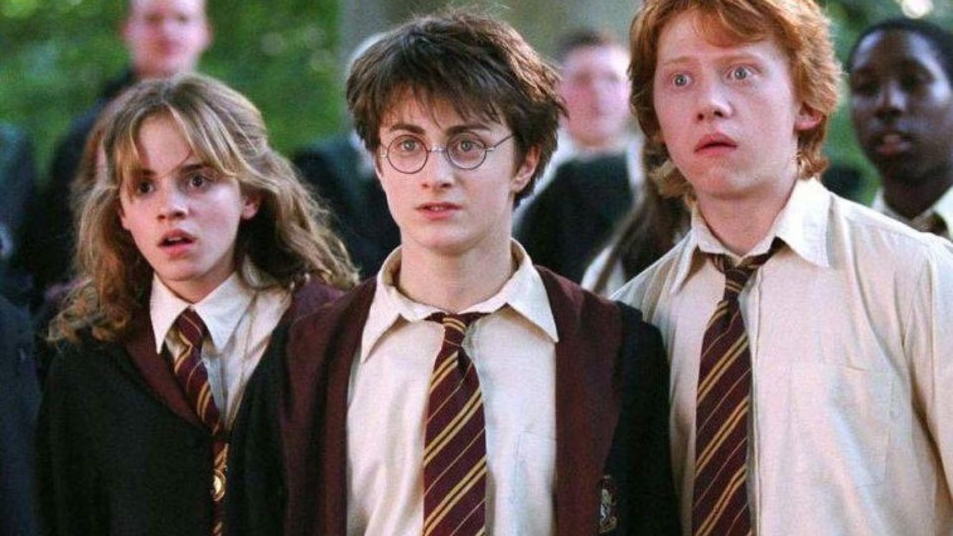 Para el actor, una adaptación más cercana a los libros de Harry Potter podría resultar especialmente atractiva para los seguidores de la saga.