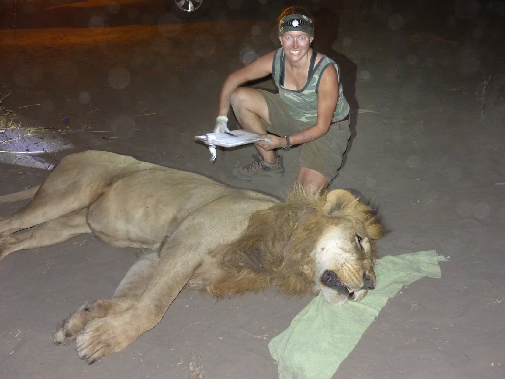 Nancy Barker, de la Universidad de KwaZulu-Natal, sostuvo que observó a leones siguiendo de forma activa a las hienas durante su trabajo de campo (Crédito: Dra. Nancy Barker)