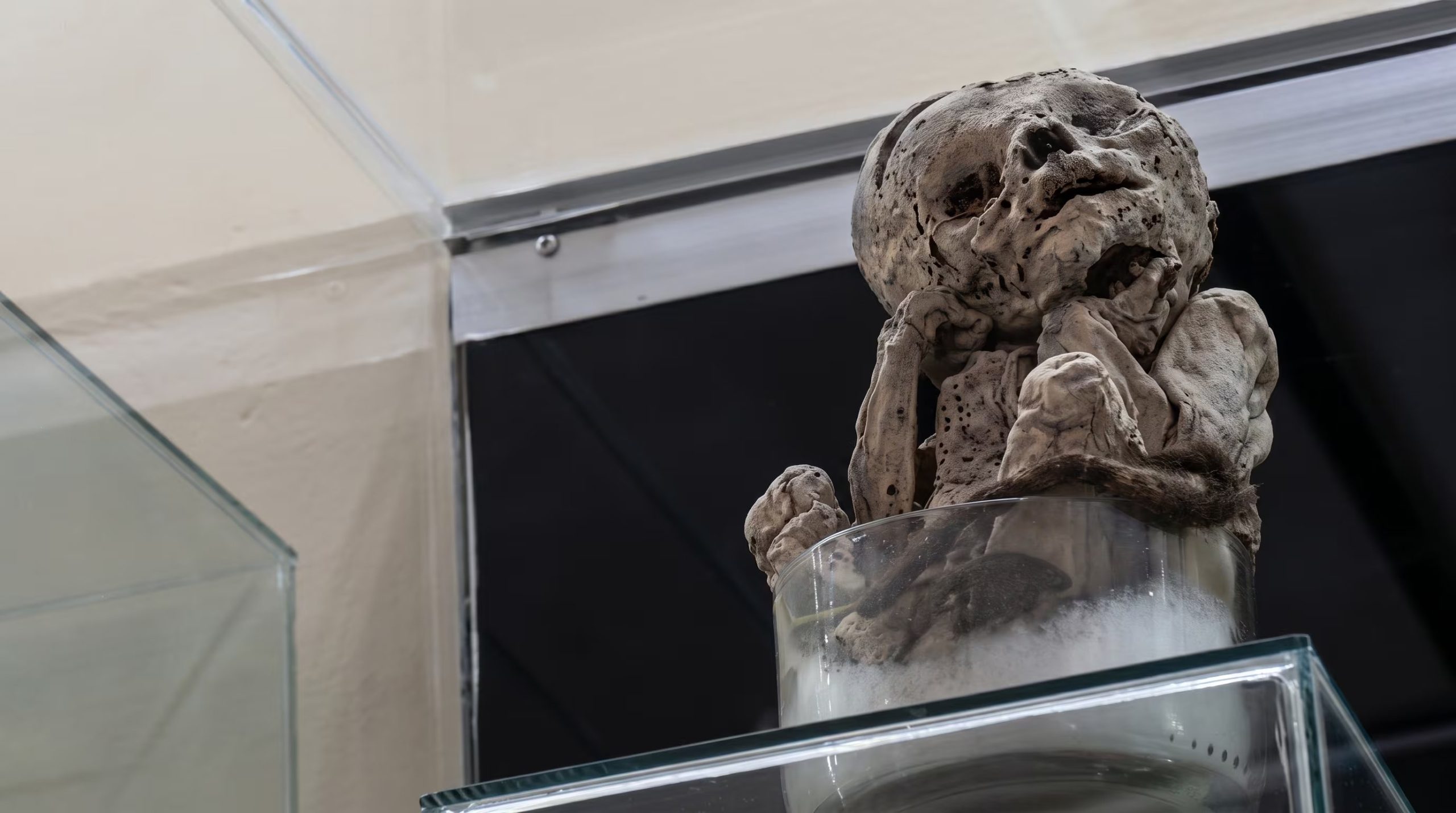El hallazgo de Ichic Nuna ocurrió en 1988 en el sitio arqueológico de Rambrash y fue el descubrimiento más relevante de ese año en Caraz. (Crédito: Latina Noticias) (Imagen Ilustrativa Infobae)