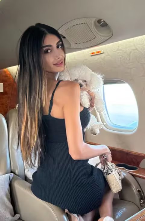La mujer se declaró inocente de dos cargos de hurto mayor y dos de robo residencial de primer grado en el condado de Los Ángeles (Instagram/@brainandbeautybb)