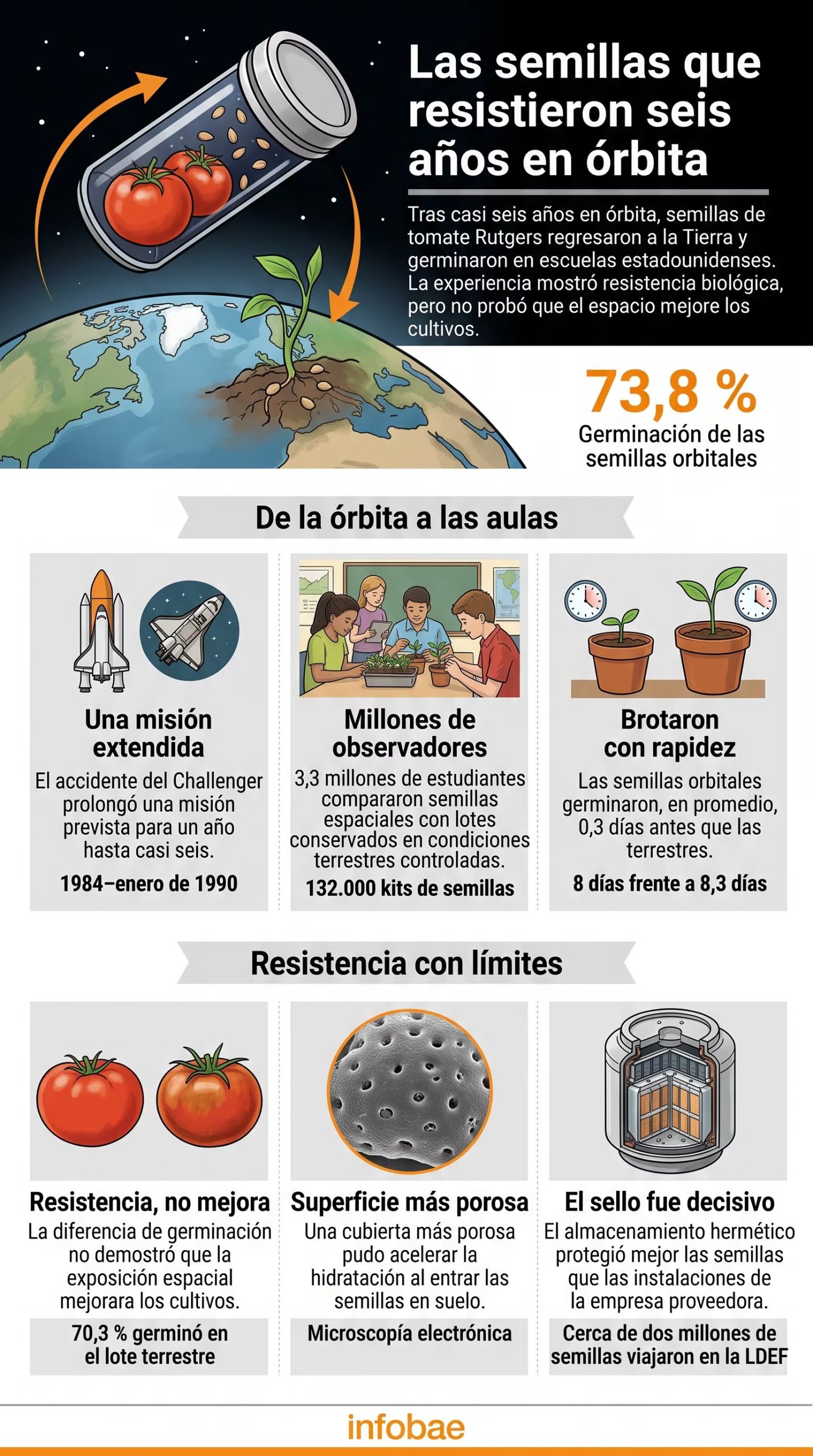 Una infografía de Infobae detalla los resultados del experimento SEEDS de la NASA sobre la resistencia de semillas de tomate tras seis años en órbita terrestre en Estados Unidos. (Imagen Ilustrativa Infobae)