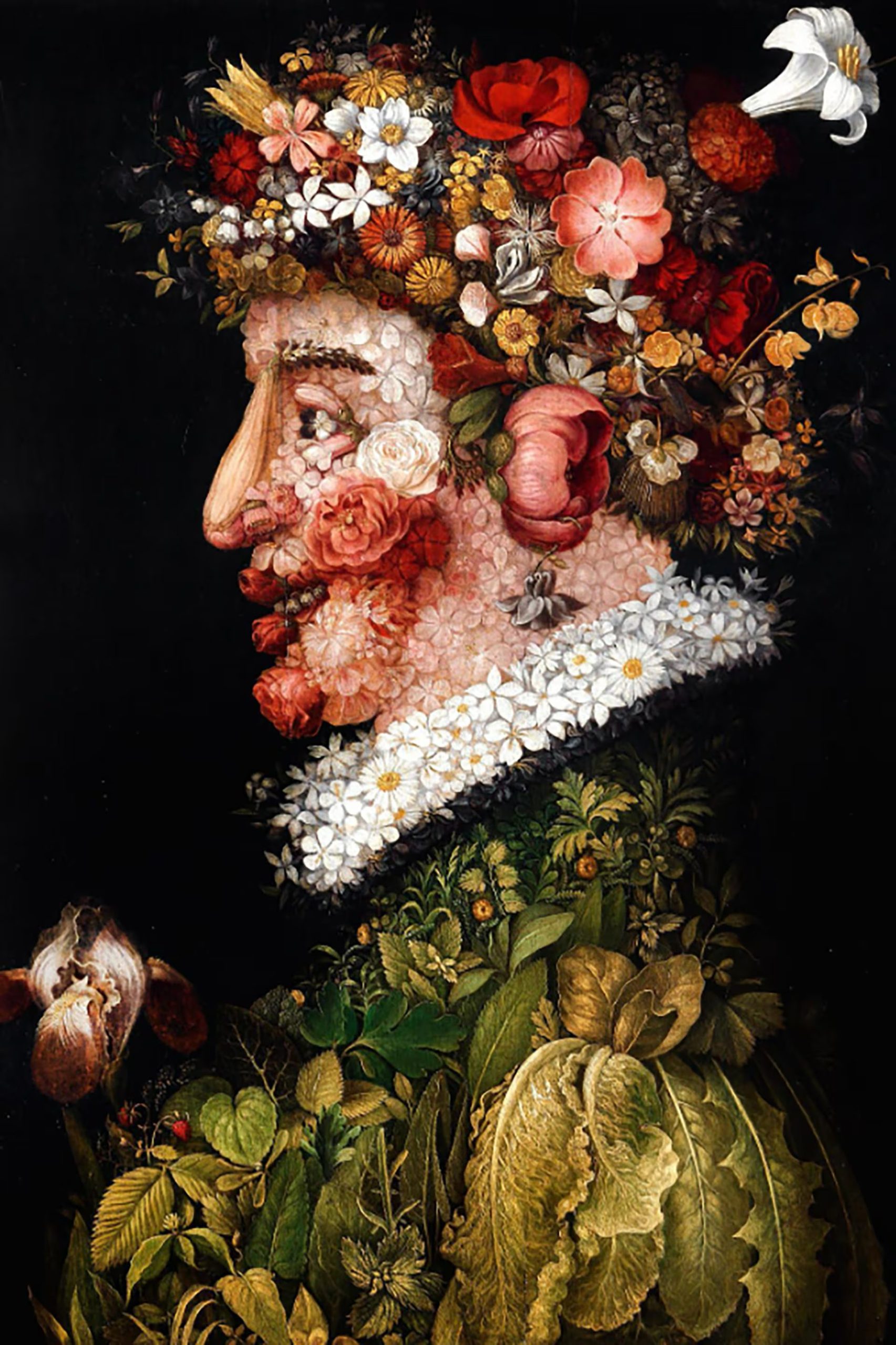 Reproducción de