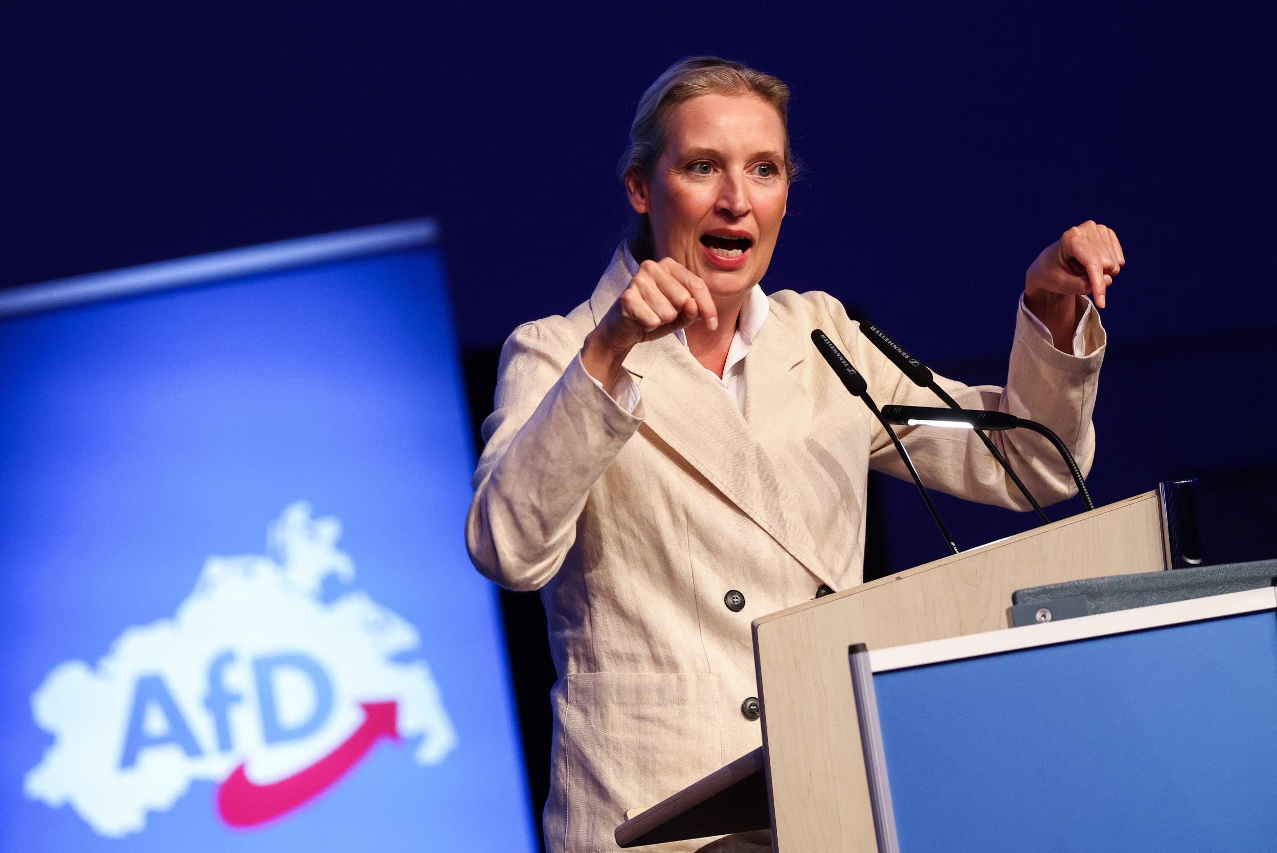 La AfD se proclamó como nuevo partido del pueblo en Alemania y atribuyó su resultado a un reclamo de cambio político. (REUTERS/Lisi Niesner)