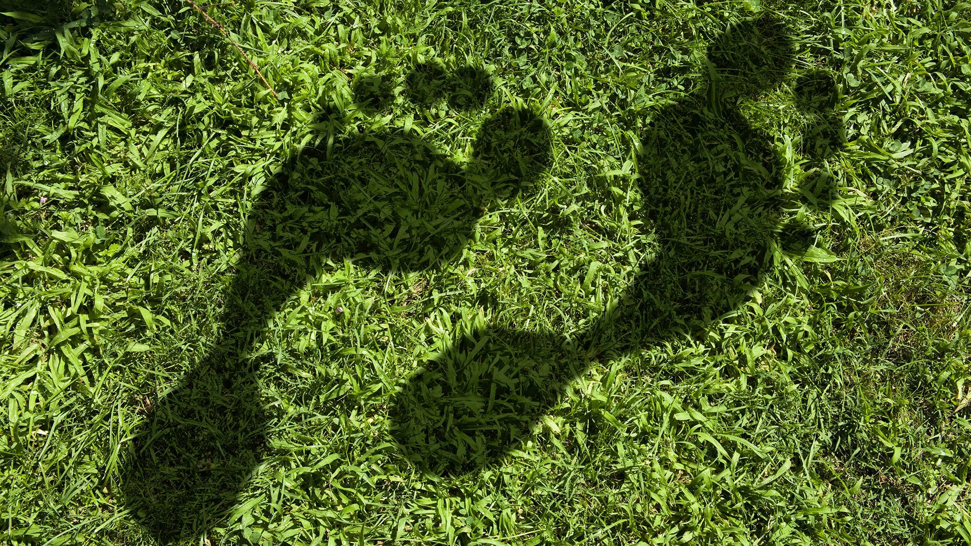 La FSC plantea que la pregunta ya no es sólo qué huella de carbono deja una operación, sino que incorpora otras: qué recursos naturales son estratégicos, qué riesgos podrían aparecer si se deterioran y qué inversiones permitirían reducir esas vulnerabilidades (Shadow Footprint)