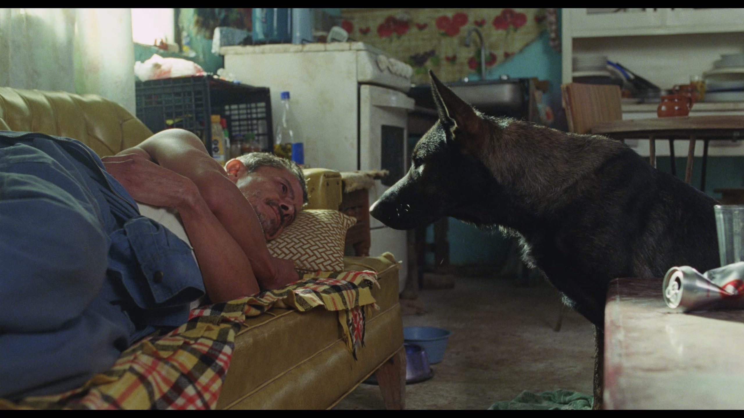 Imagen de 'Morro'
