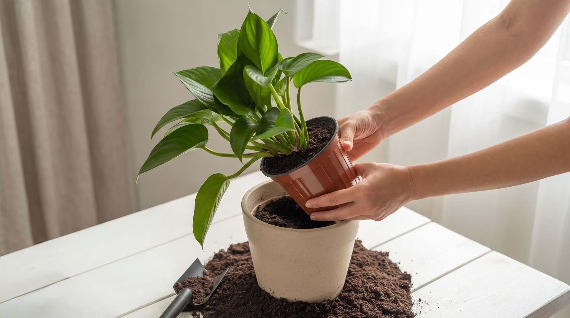 Las plantas de interior pasaron de ser un accesorio decorativo a convertirse en un elemento central del diseño biofílico, con efectos documentados sobre el estrés, el estado de ánimo y la productividad