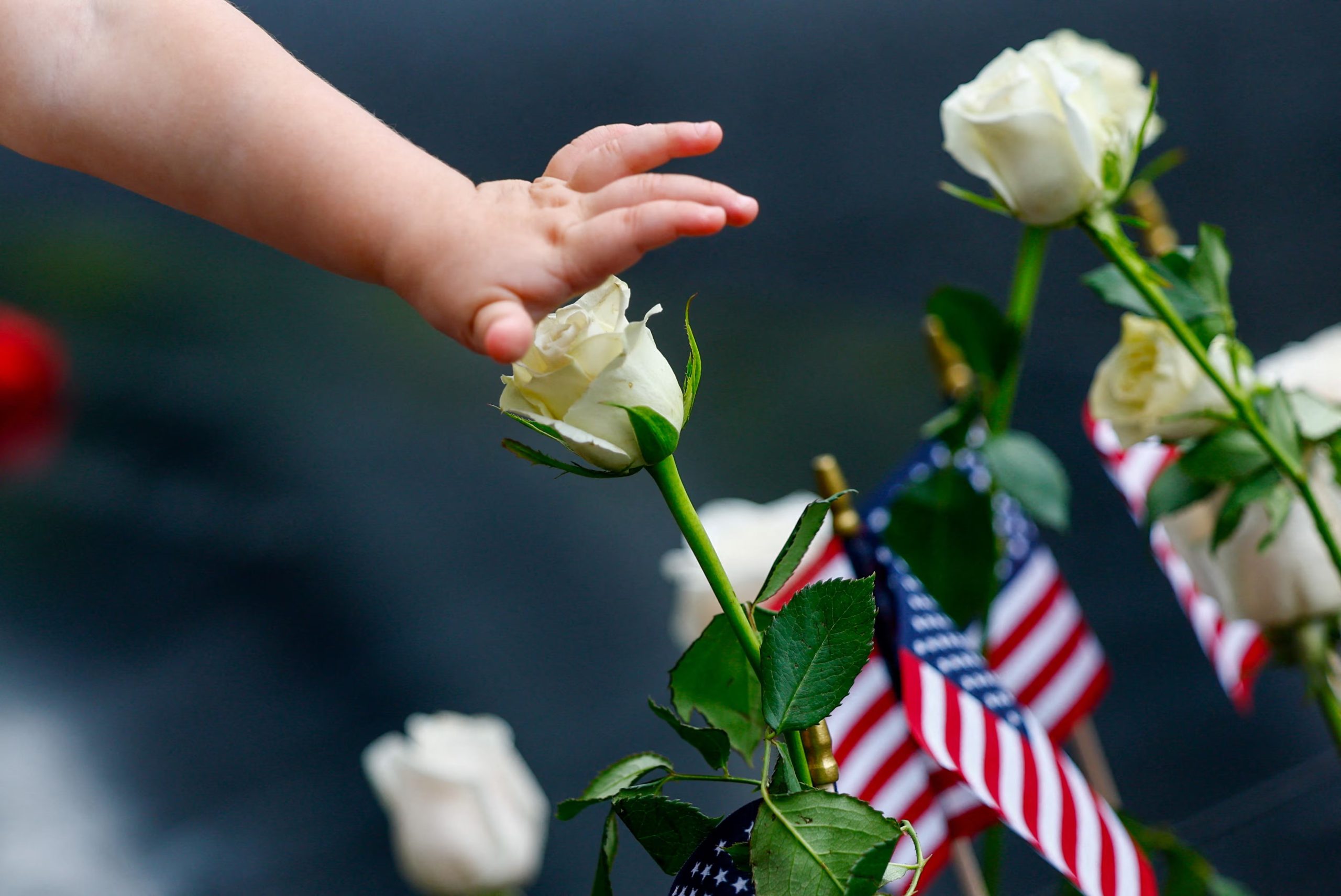 Un niño toca una flor junto a los estanques reflectantes del Memorial del 11-S (REUTERS/Jeenah Moon/Pool)